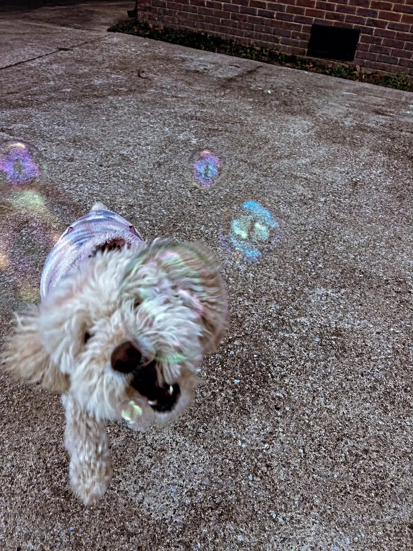 The cold never bothered her anyway!