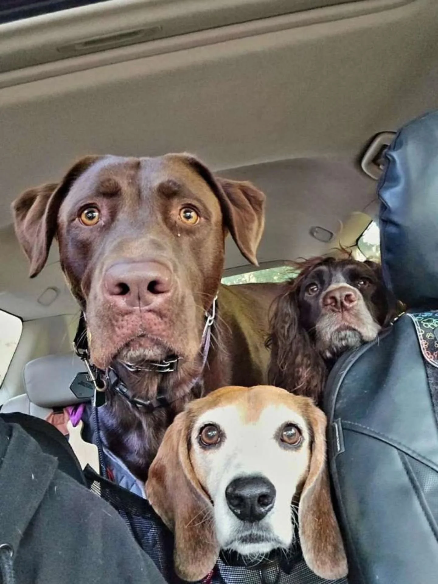 "We'll be waiting for youuuuu"