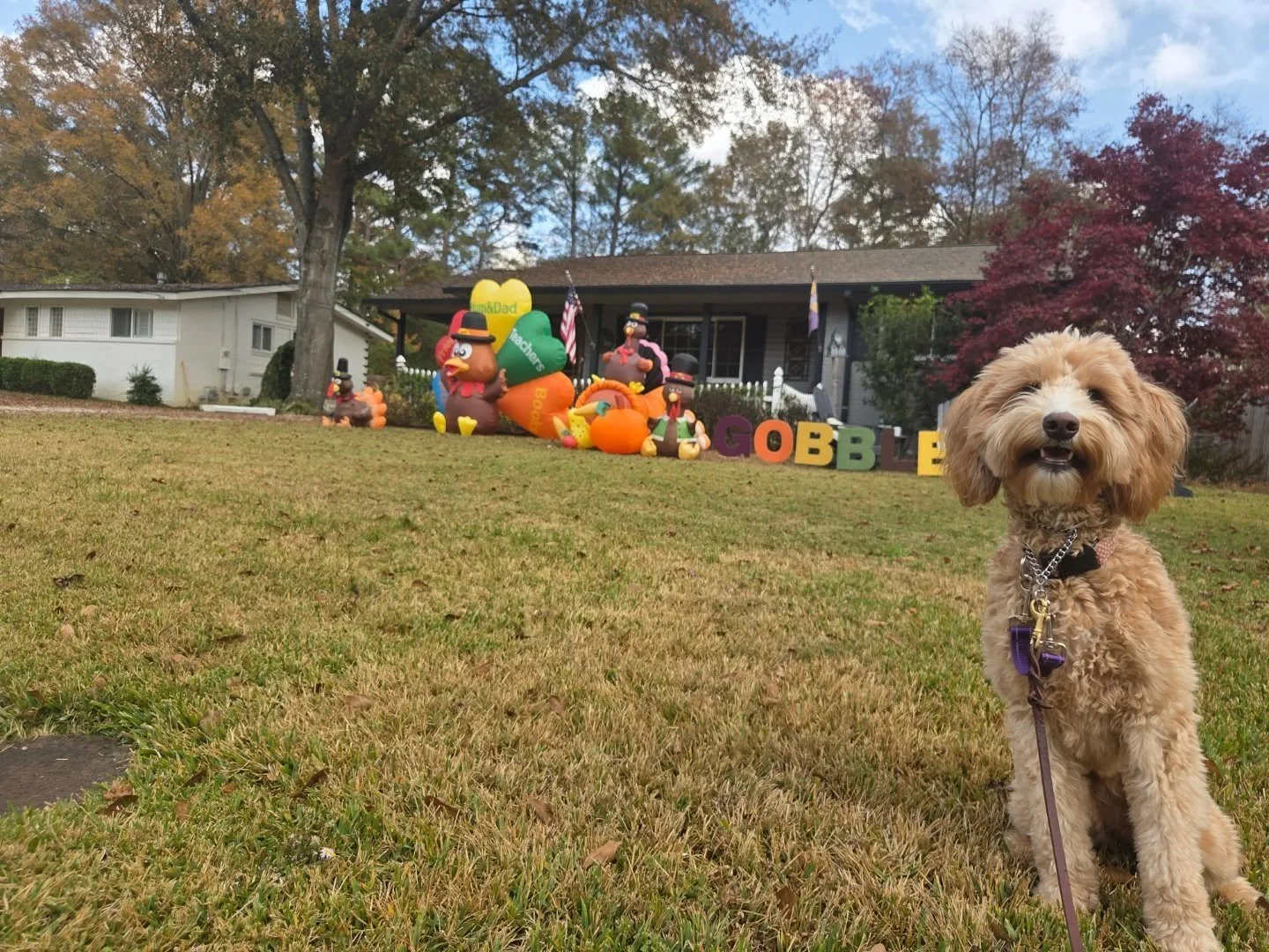 Happy Thanksgiving! We are all so thankful for the wonderful clients we've had this year. Weve been able to love some of the best pets in Birmingham! Im also so incredibly thankful for my team. They are the reason we can provide care and peace of min