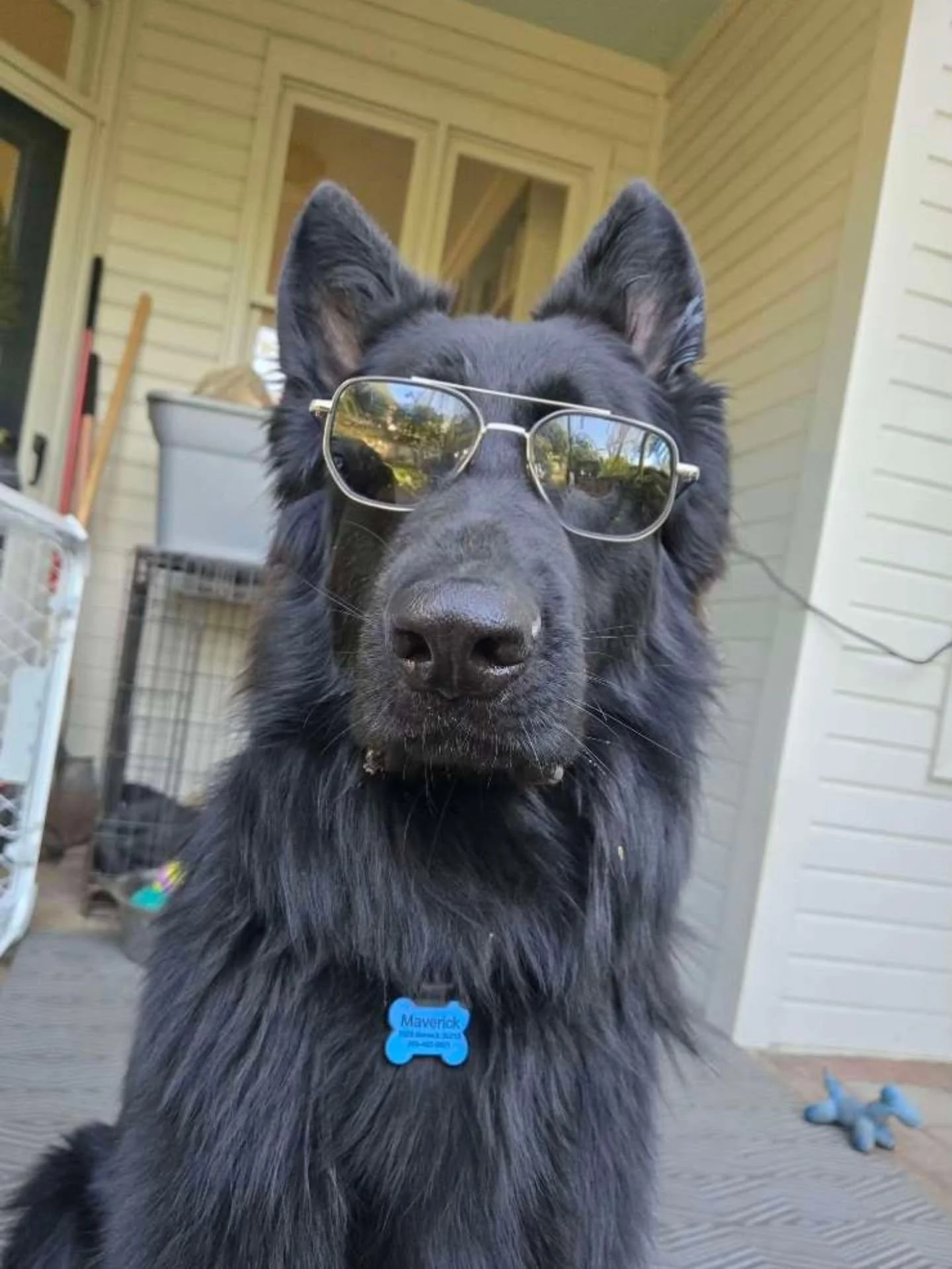 "It's classified. I could tell you, but then Id have to [lick you together death]" - Maverick and Goose