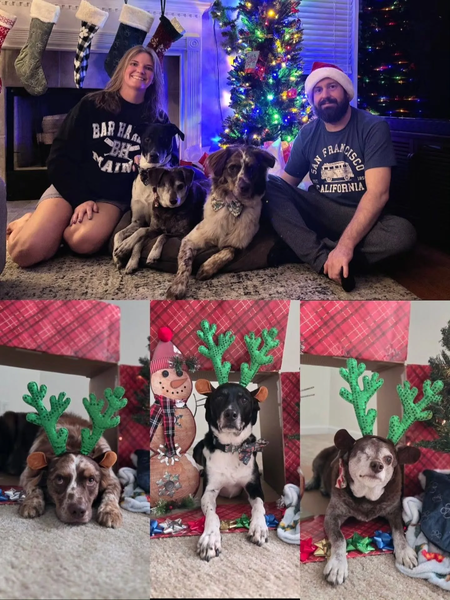 Merry Christmas from our family to yours!