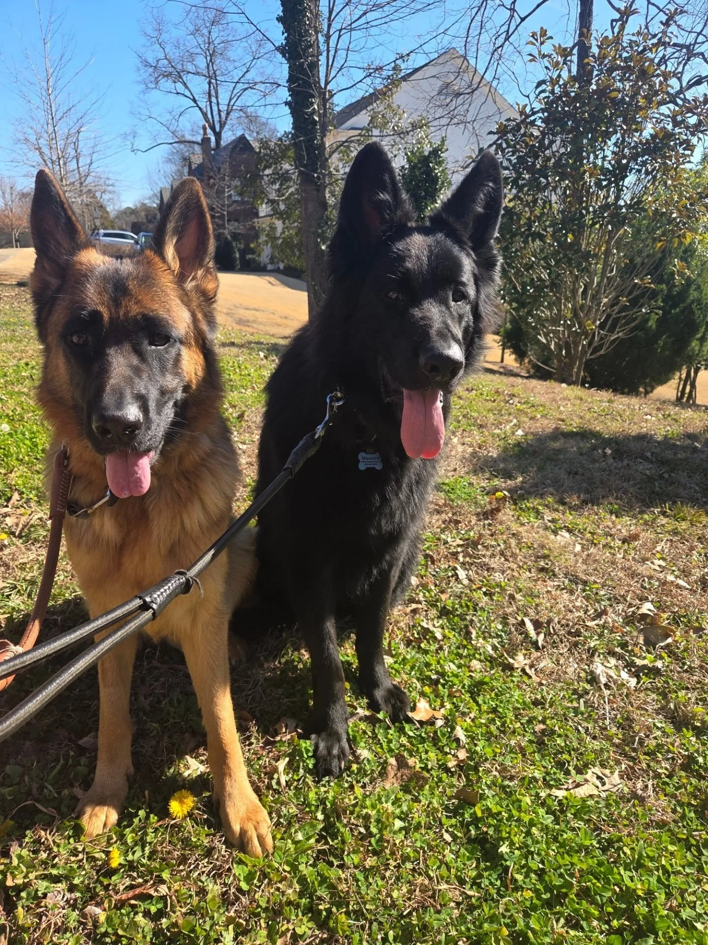 Its Friday!!! And the weather is gorgeous! We are loving our walks today!!