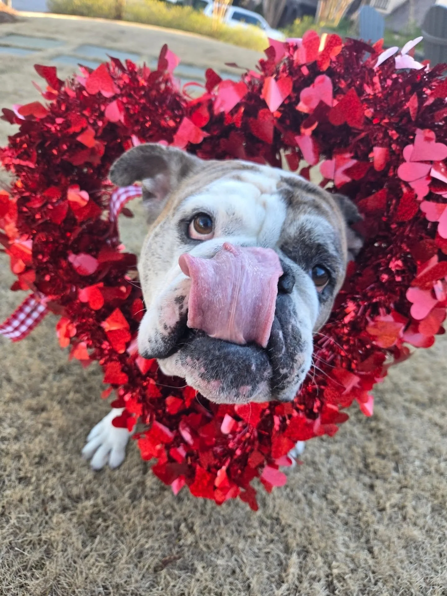 Happy Valentine's Day!