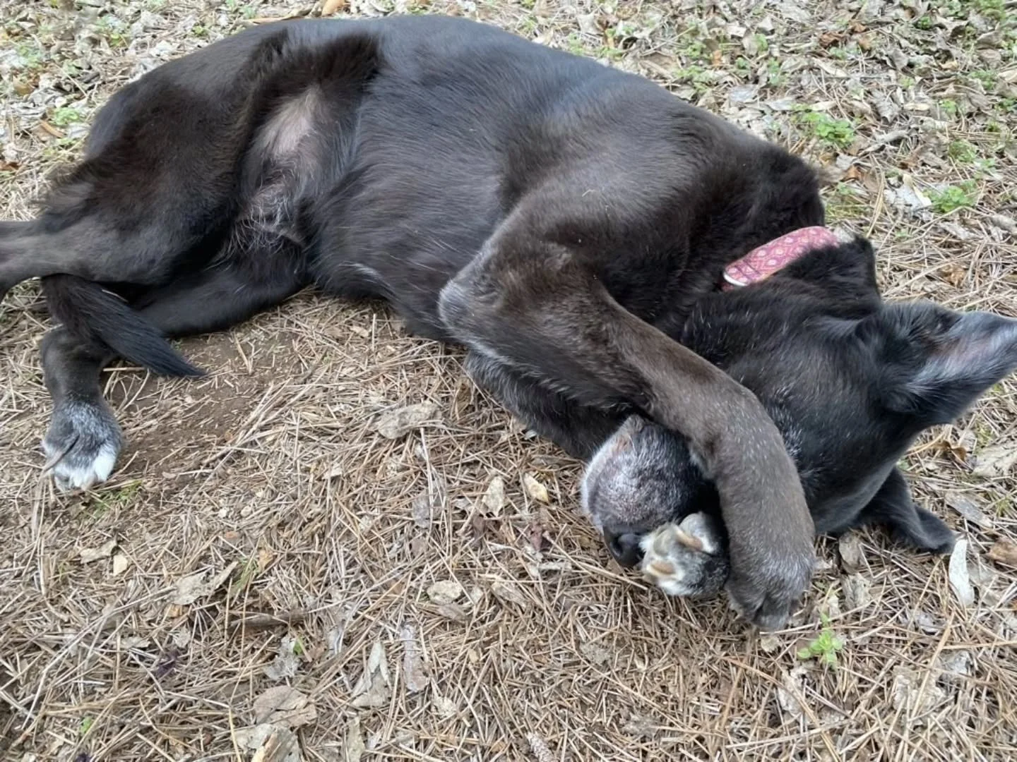 When you realize tomorrow is Monday, and you have to return to work...