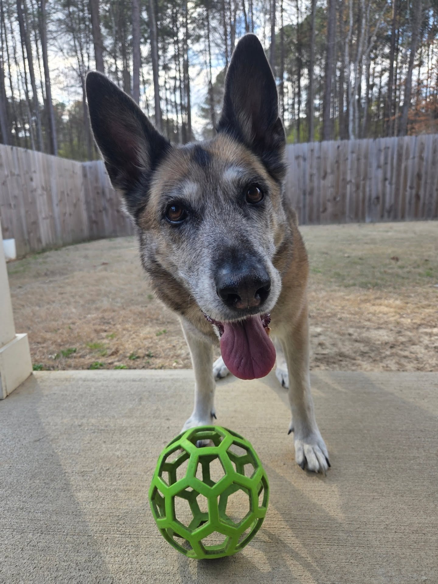 Mitzi says "throw the ball!"