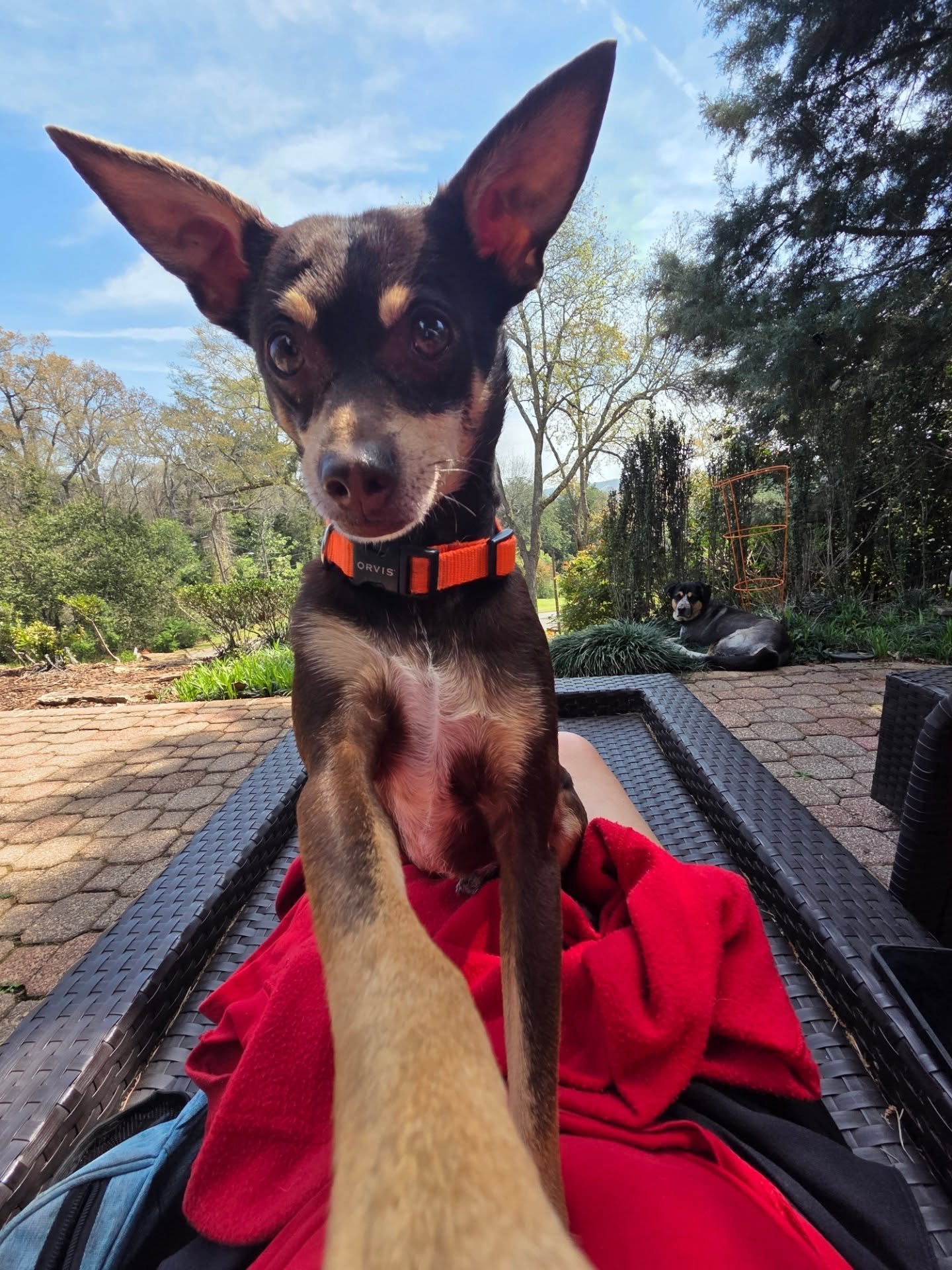 Waldo taking a selfie!