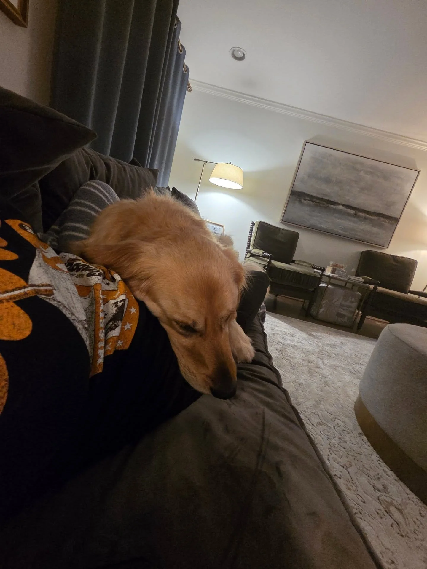 We are so excited to announce that we are now offering Overnight Services!! 

Your pets will be cozy, safe and loved from the comfort of their home. No stress and no boarding. Just snuggles, playtime and peace of mind! 

Our overnights are all-inclus