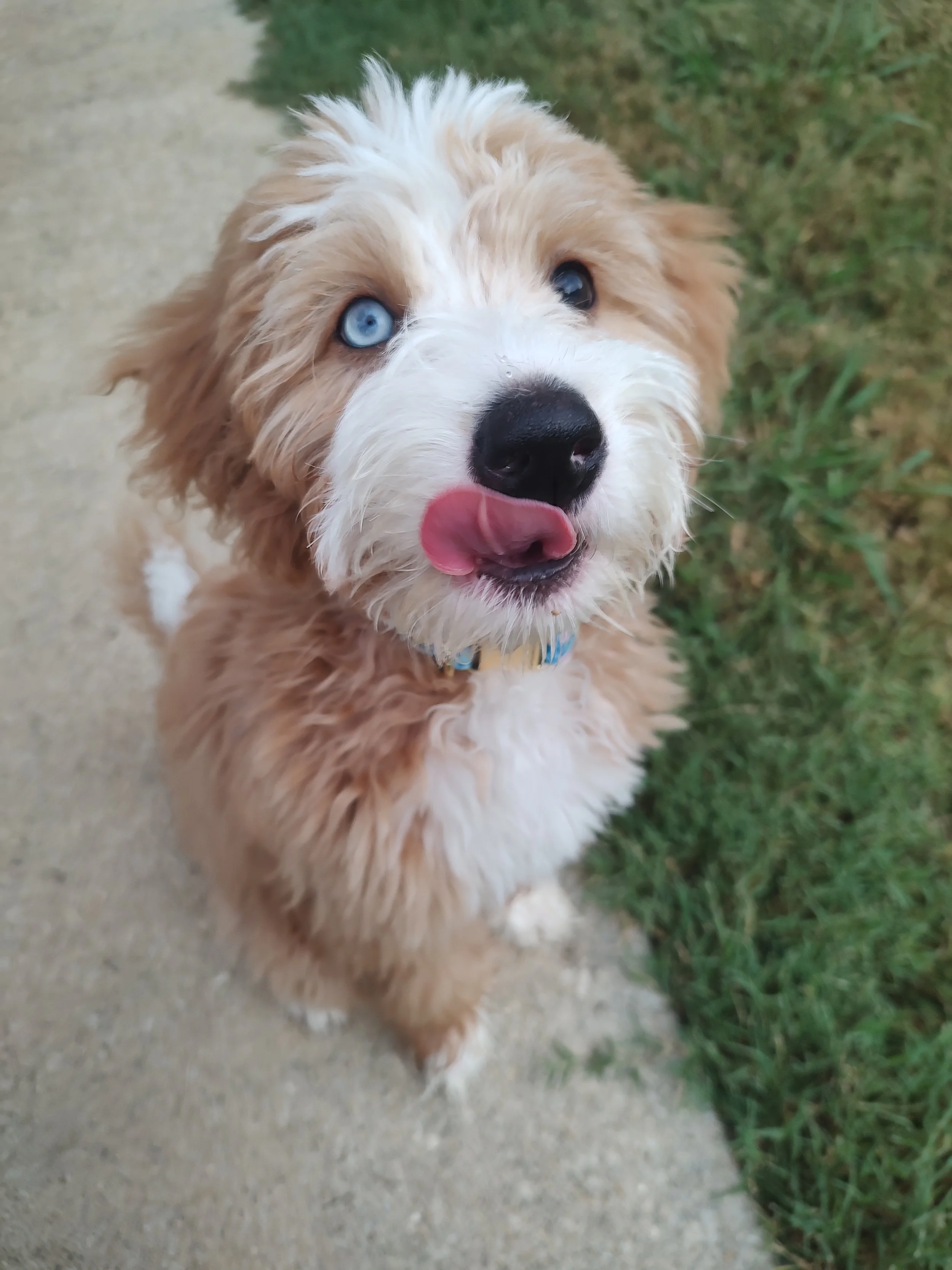 Blue.jpg