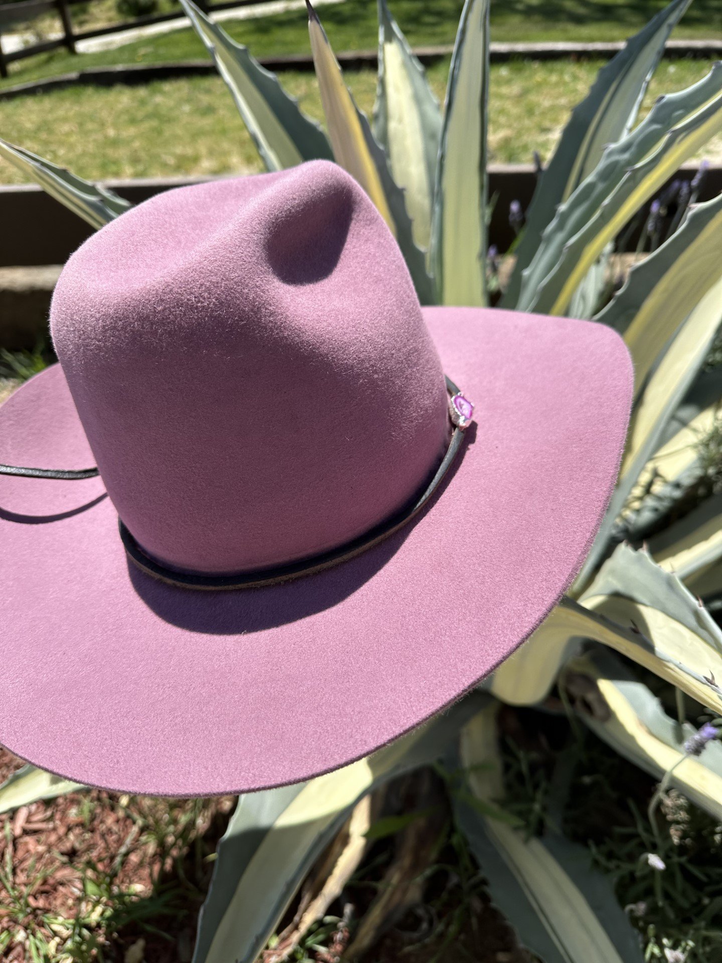 pink3.jpeg