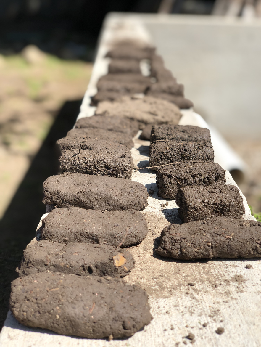 Mud bricks baking in the sun