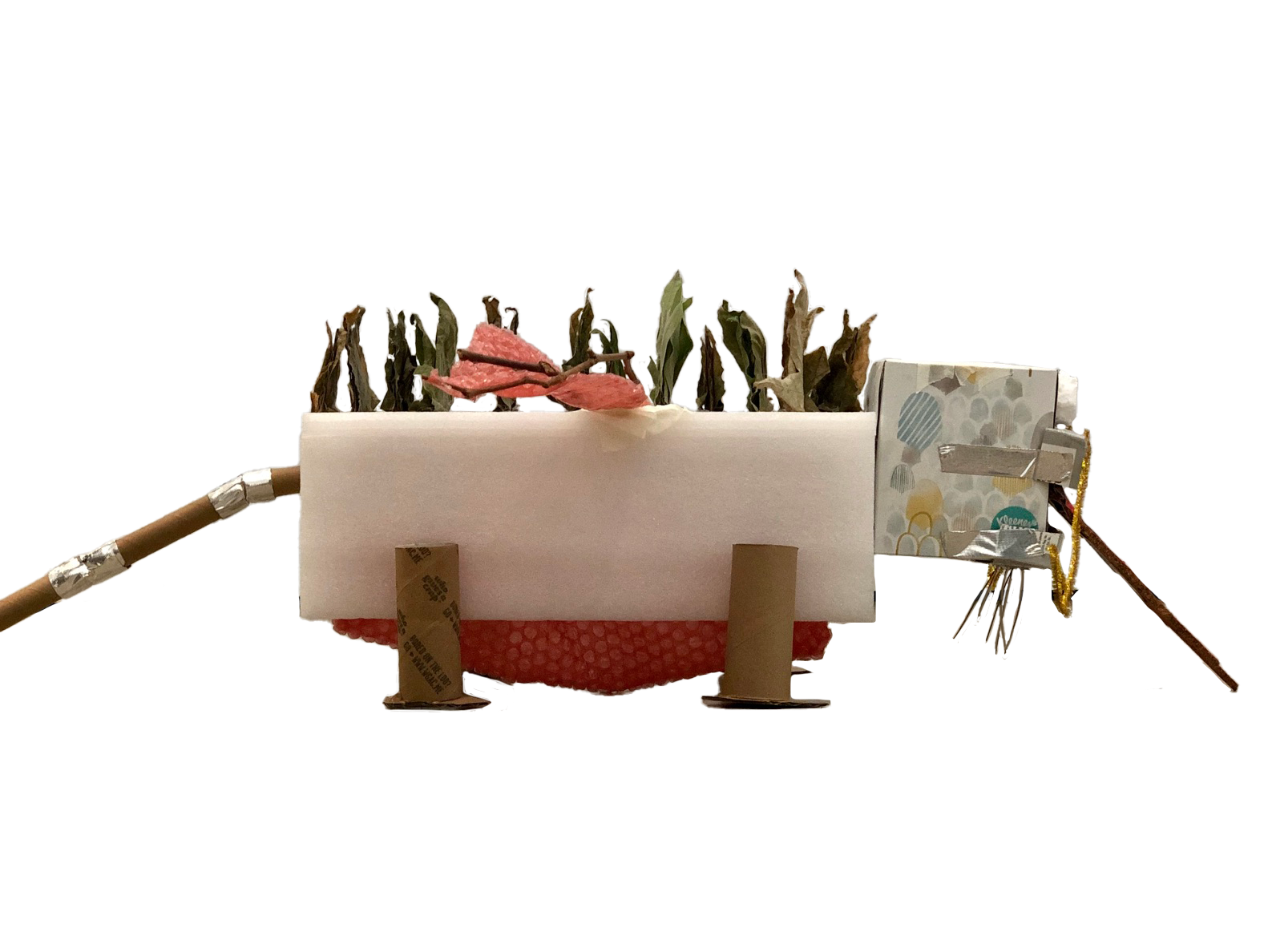 Dragon Side View.png