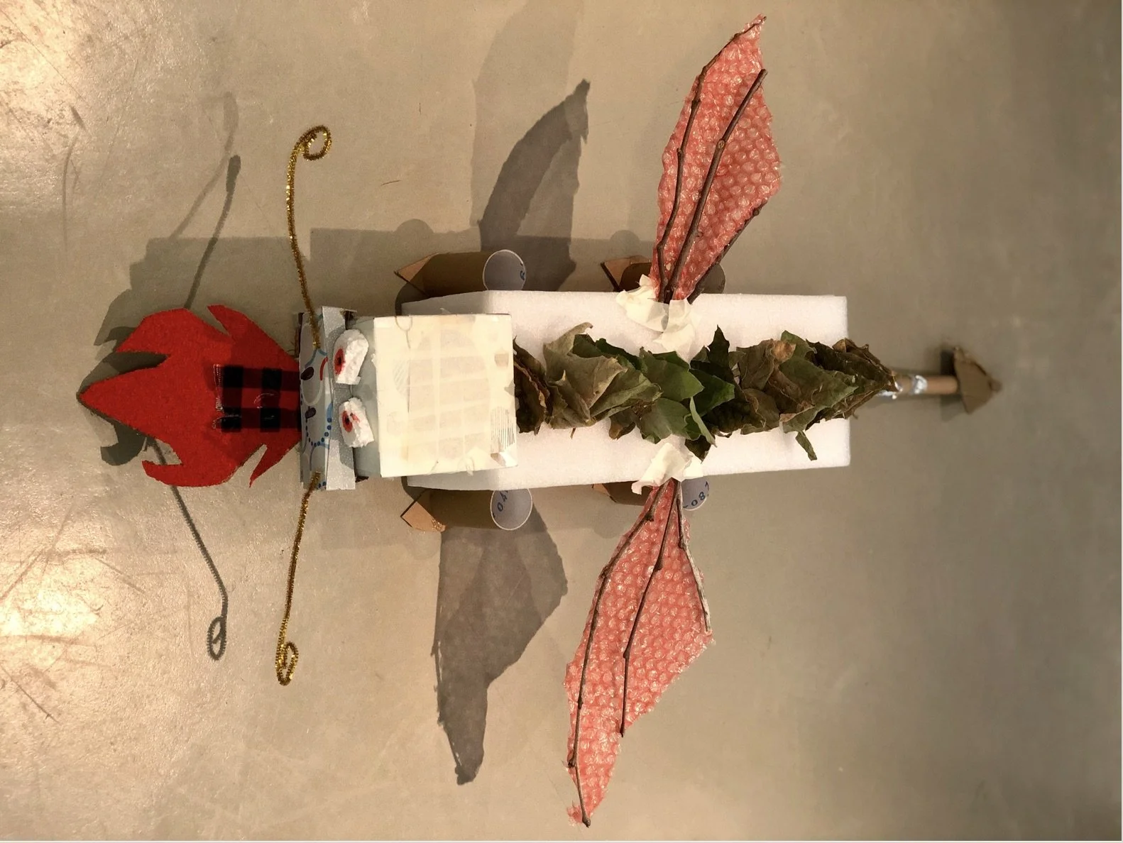 dragon aerial body.jpeg