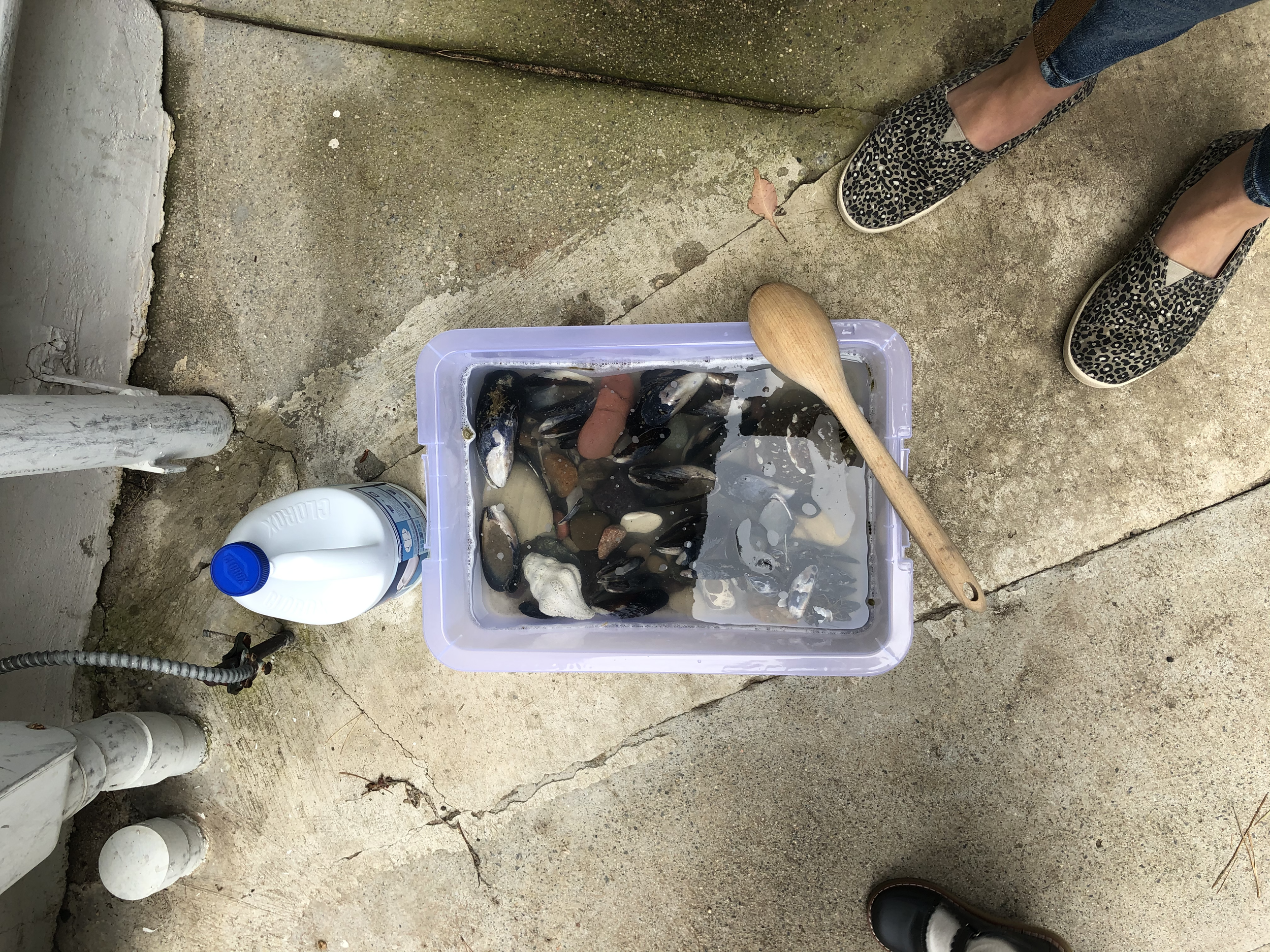 Where science meets art...!