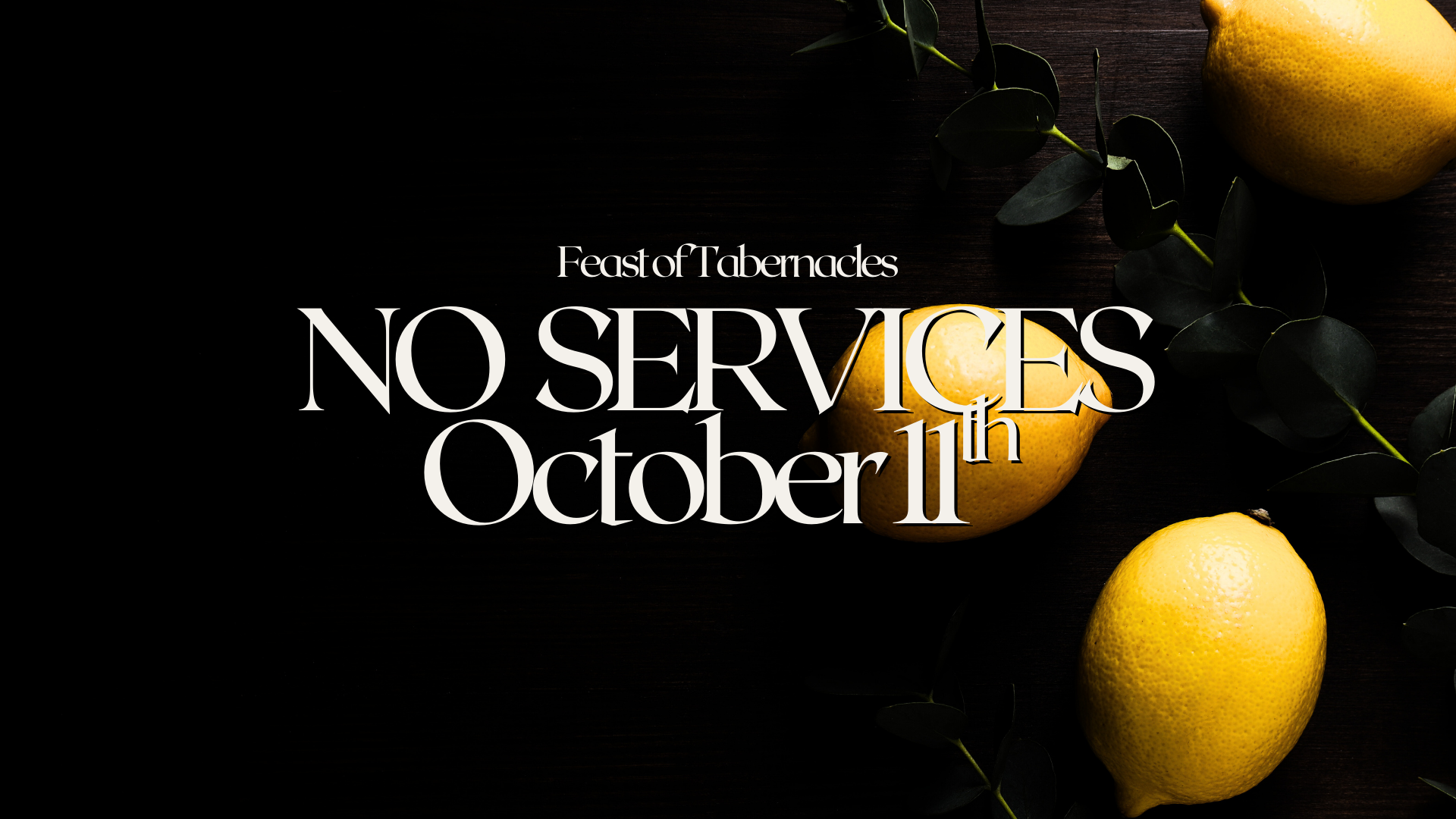 No Services