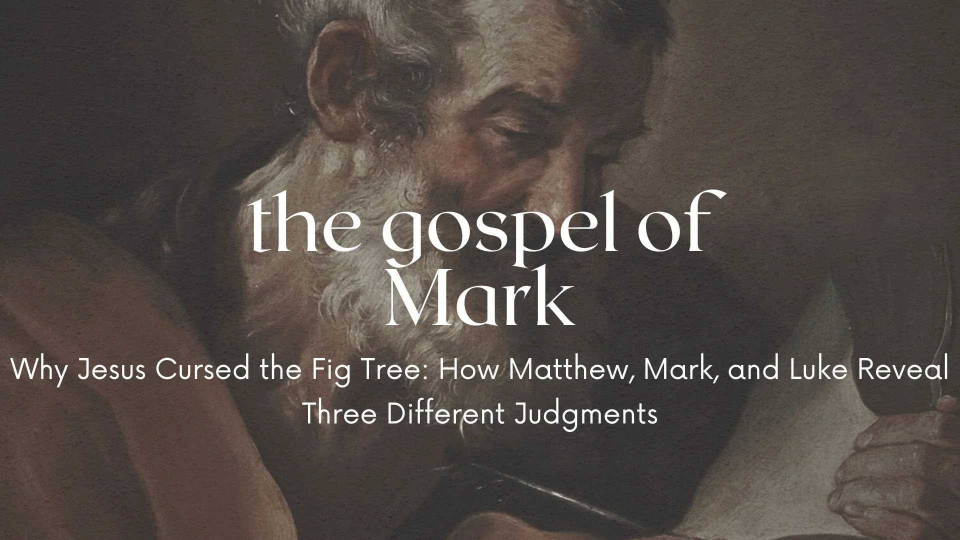 Why Jesus Cursed the Fig Tree: How Matthew, Mark, and Luke Reveal Three Different Judgments