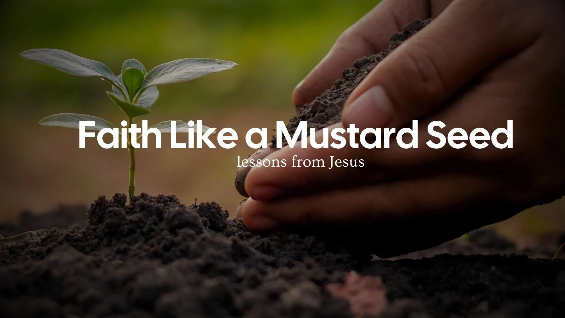 Faith Like a Mustard Seed: What Jesus Really Meant About Genuine Faith