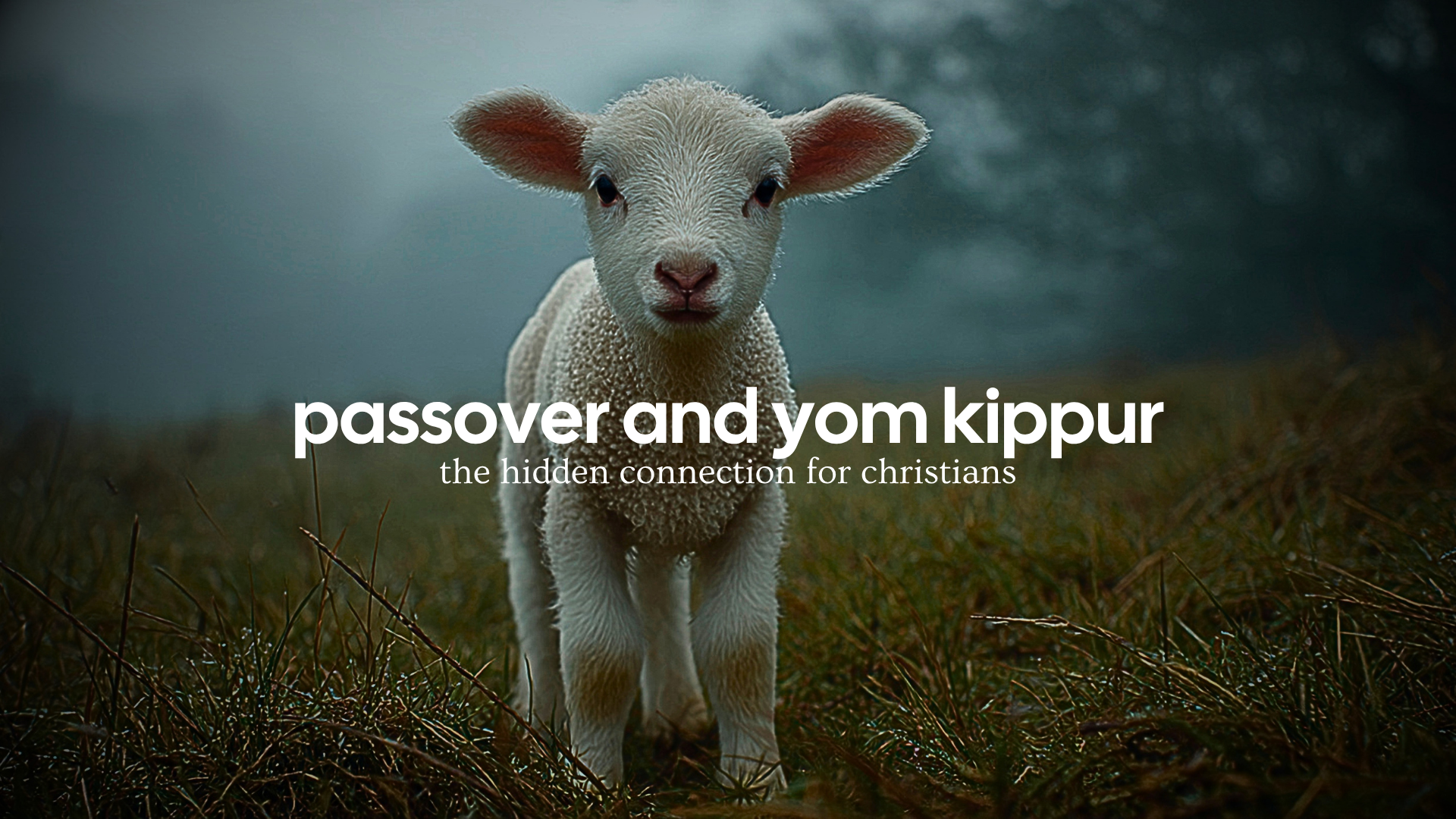 Passover and Yom Kippur: God's Love and Our Need for Cleansing