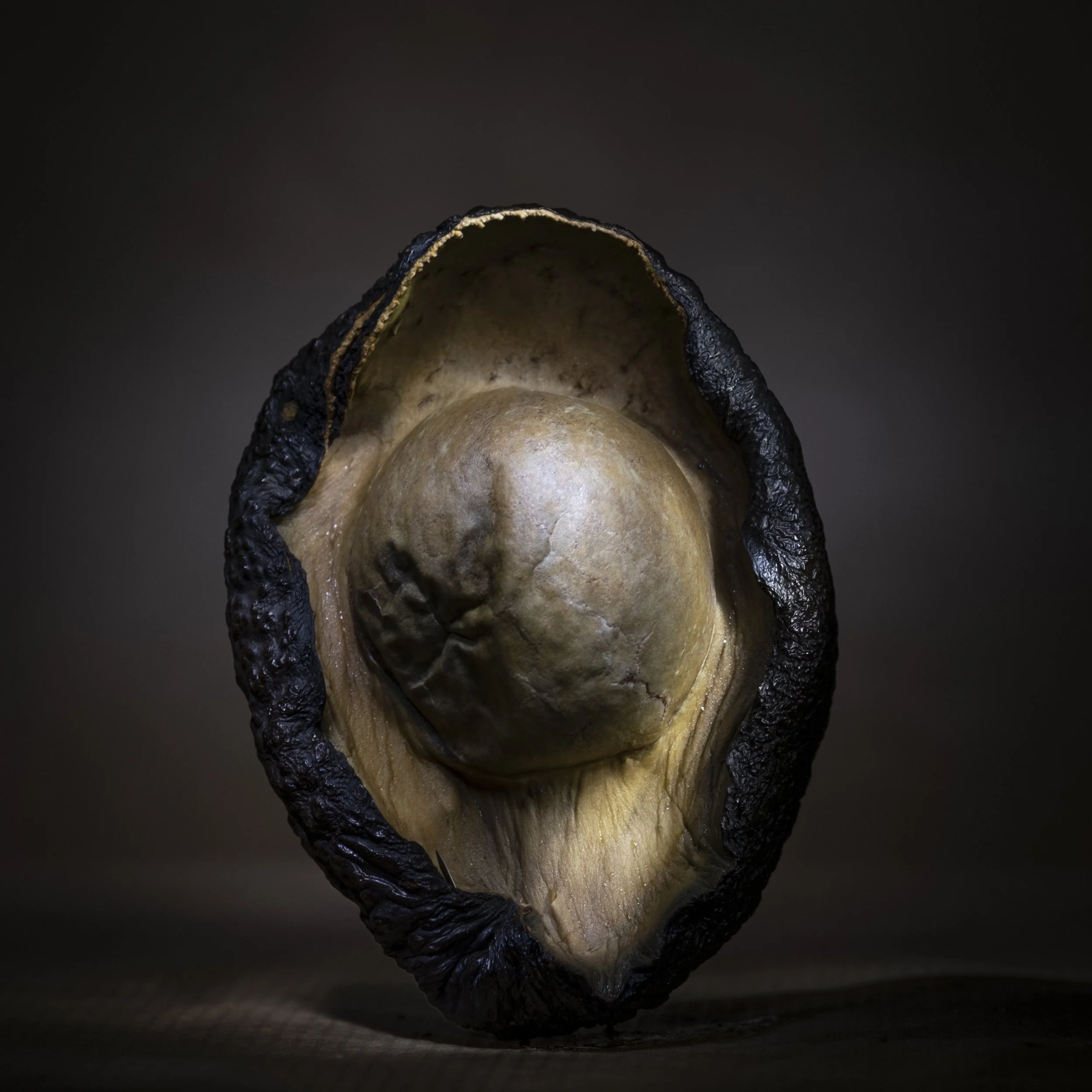 Avocado with Stone