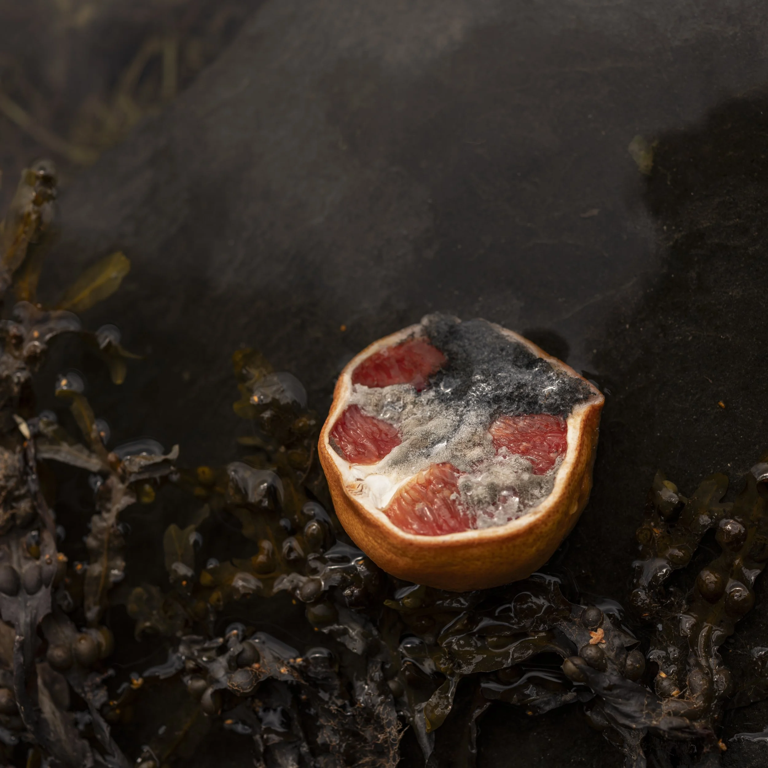 Grapefruit and seaweed