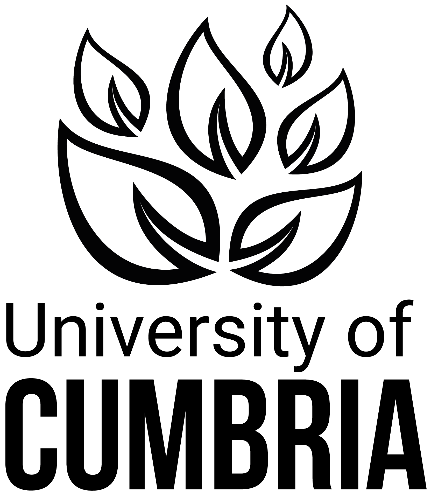 Black logo with a flame design and the words 'NOVA ENERGY' in capital letters underneath.