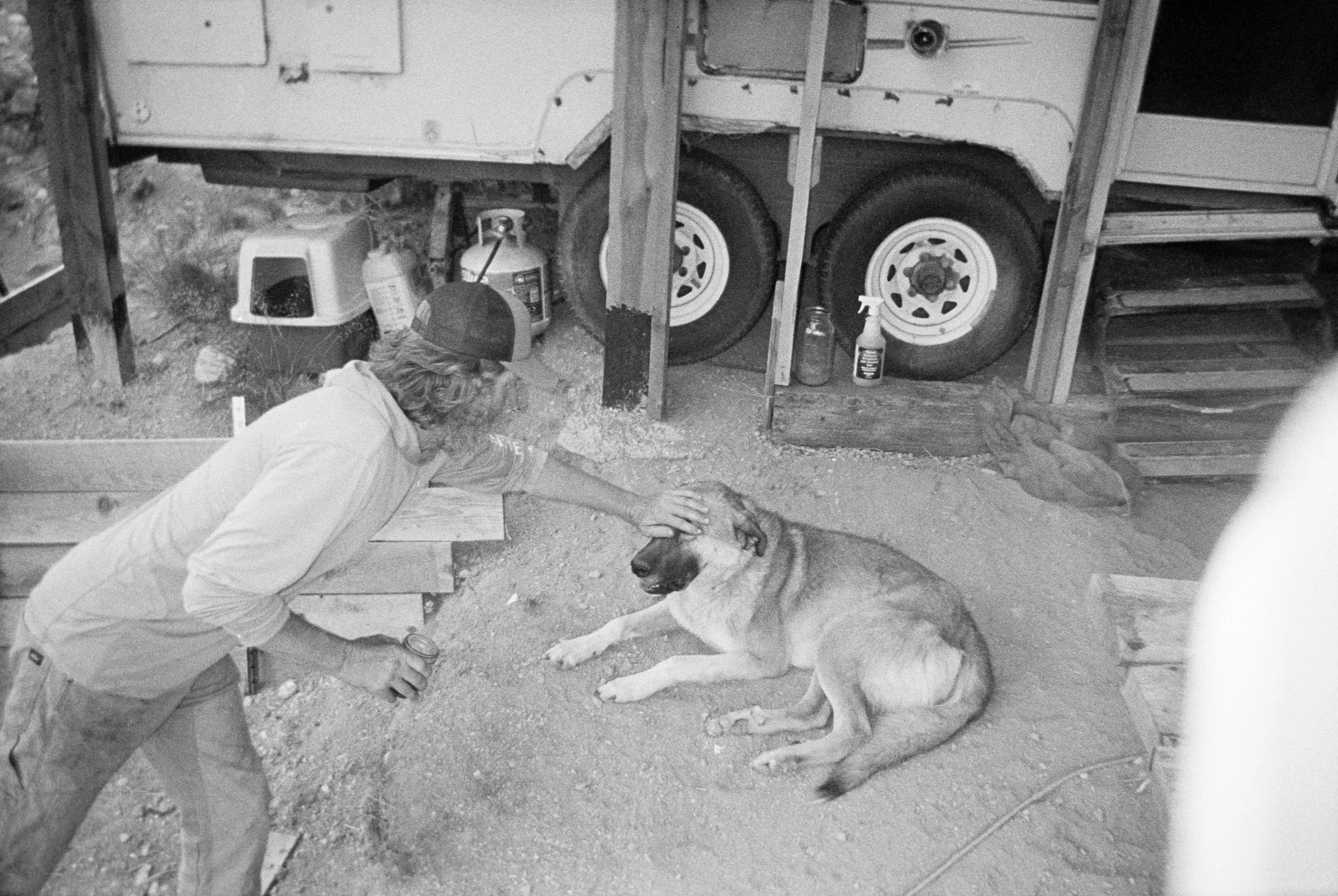 A person with long hair in a backwards cap petting a large dog lying on a dirt ground, with various items and a trailer in the background.
