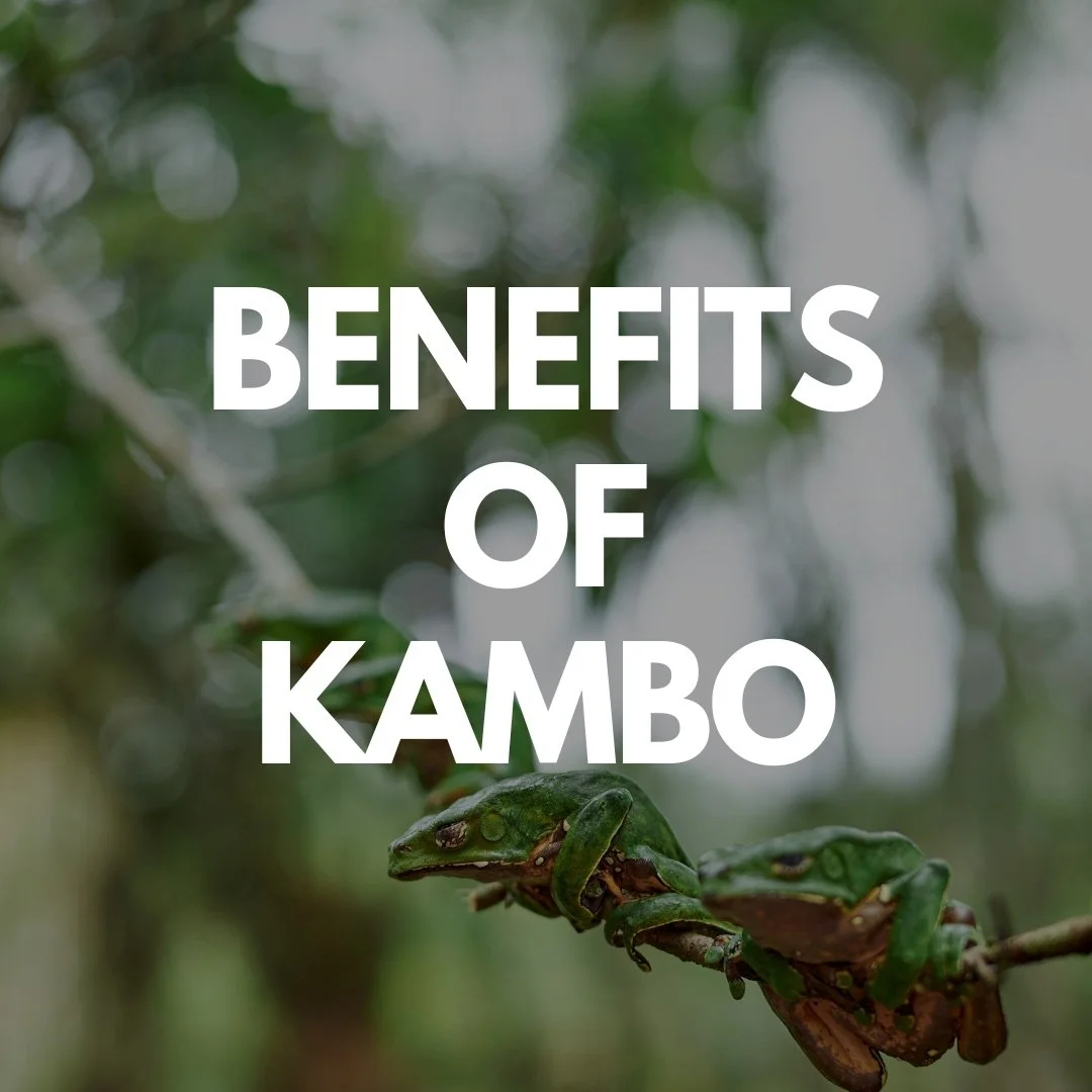 sacha warrior benefits of kambo.jpg