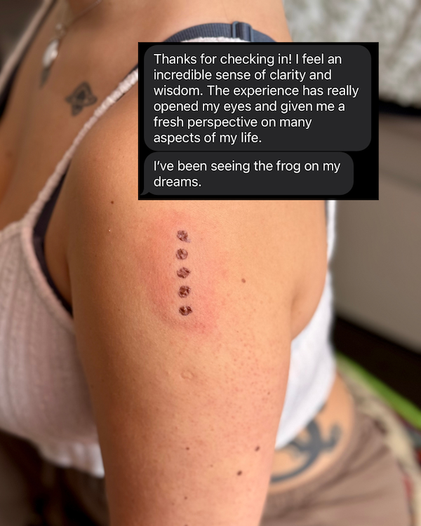 sacha-warrior-kambo-review