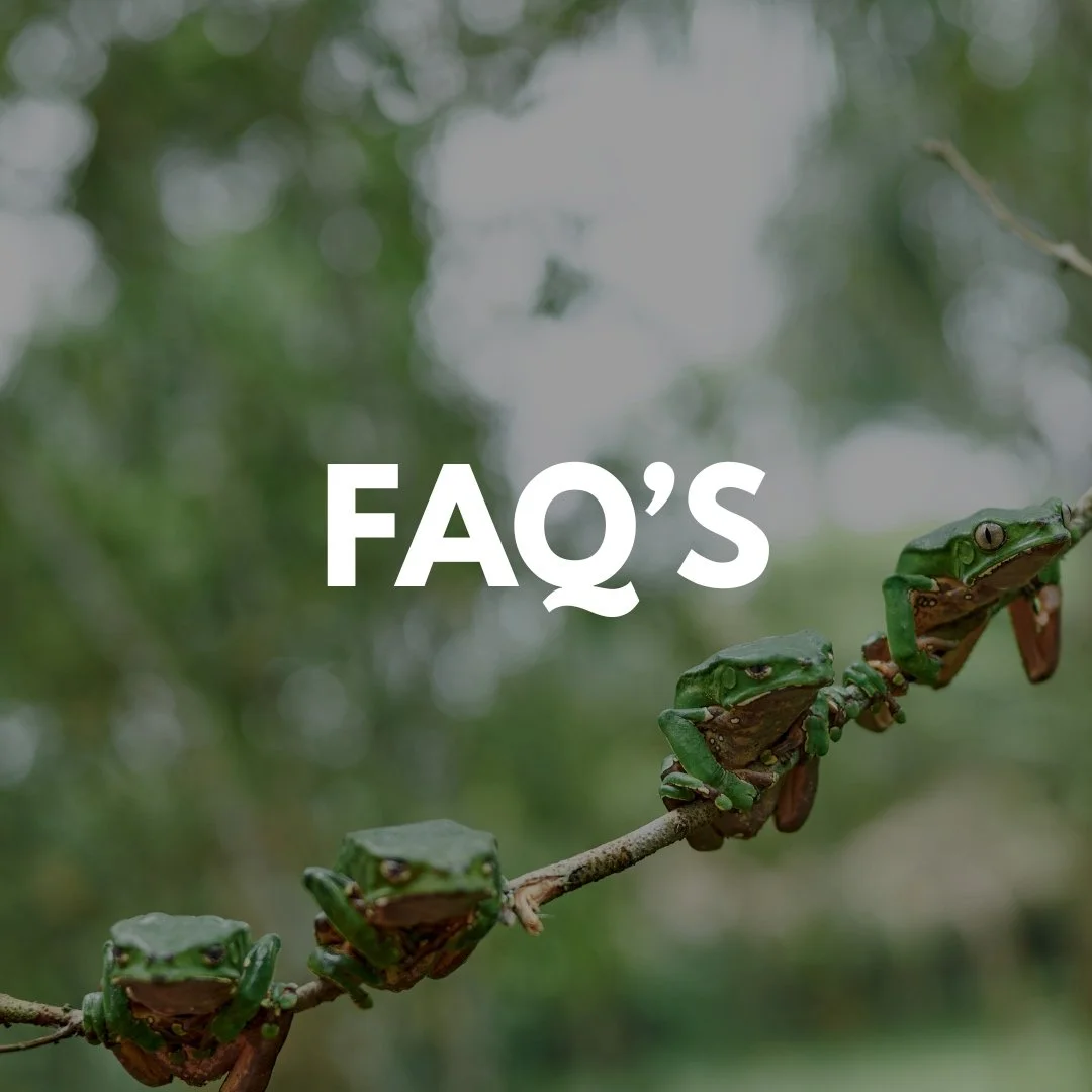 sacha warrior kambo faqs.jpg