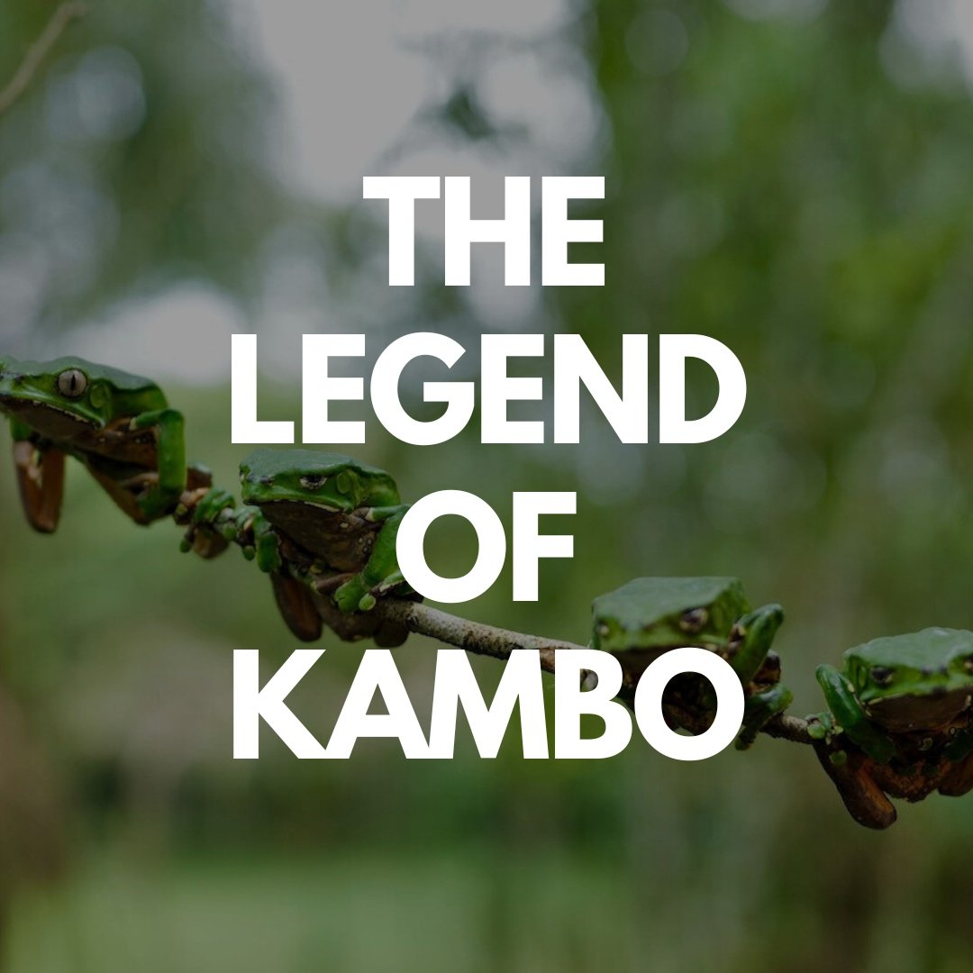 sacha warrior legend of kambo.jpg