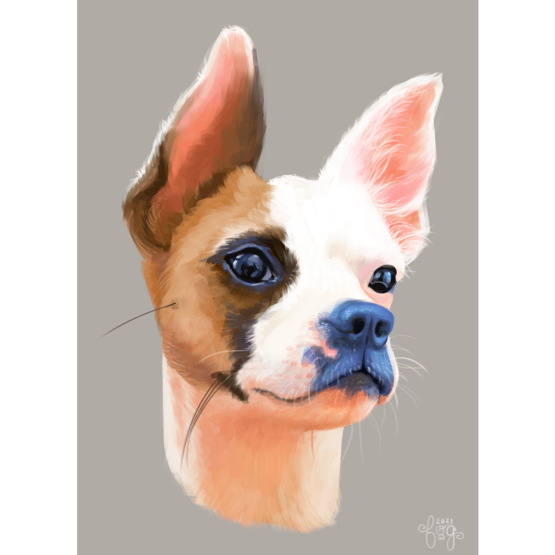 flowerdog squared.png