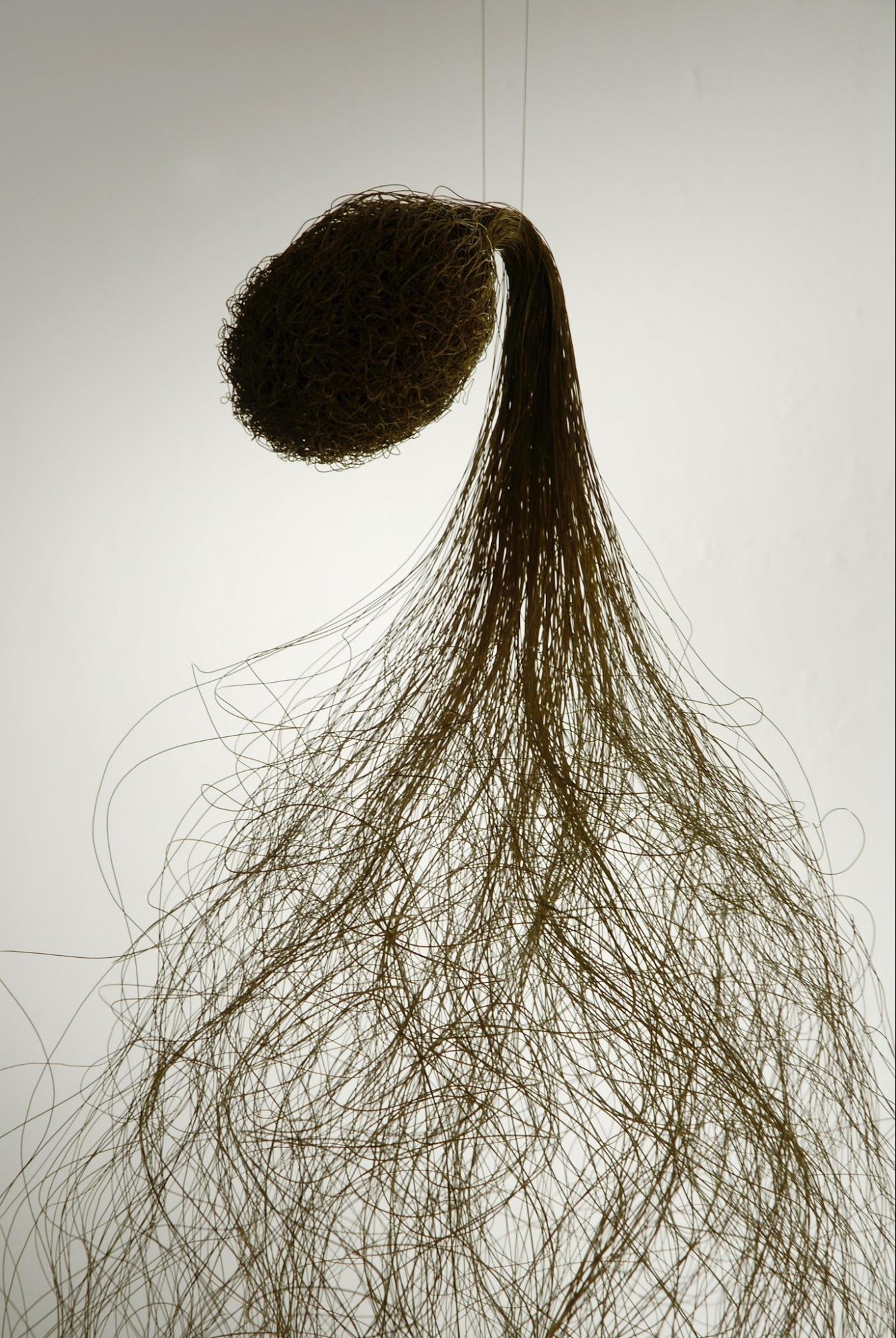 image12.jpg