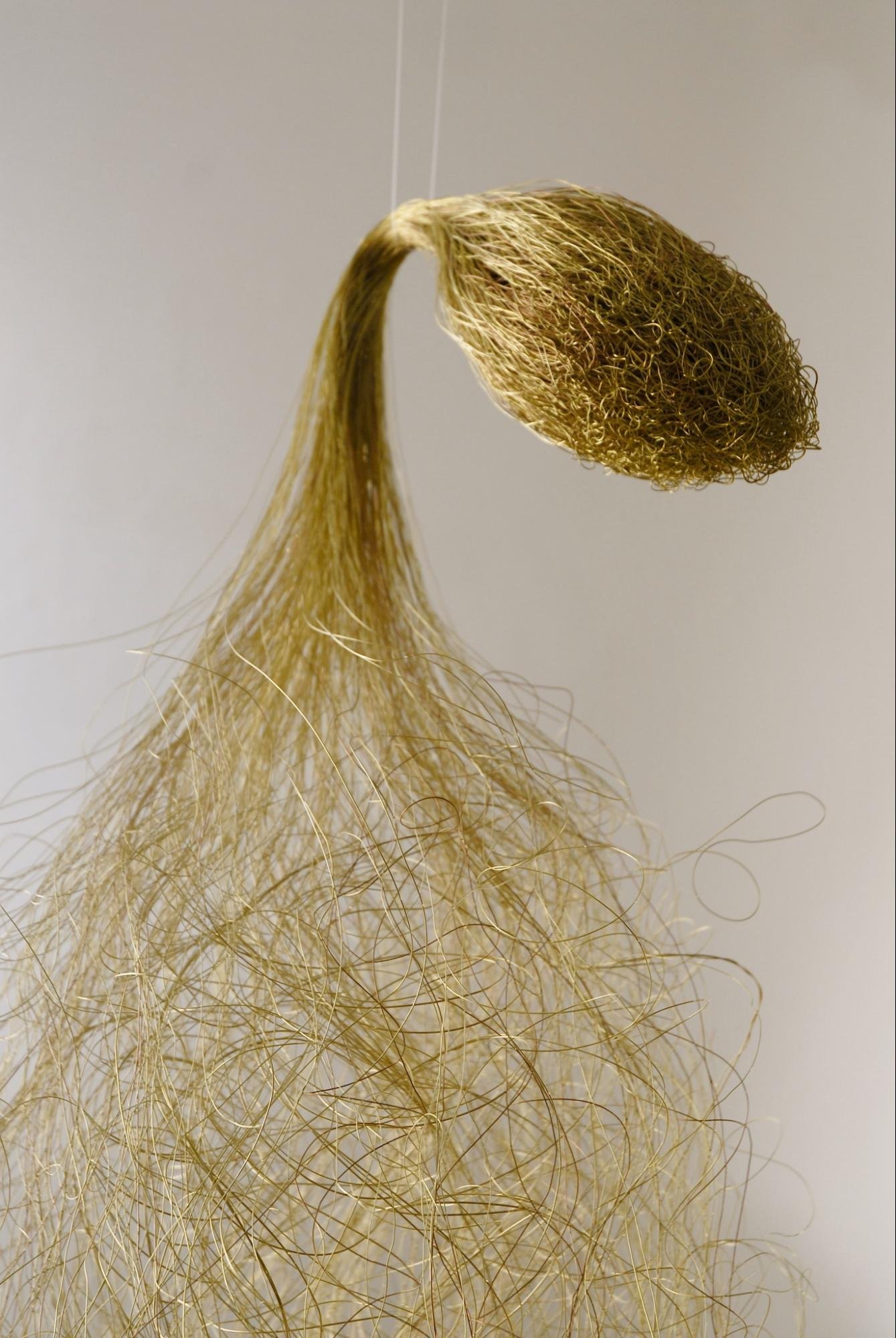 image8.jpg