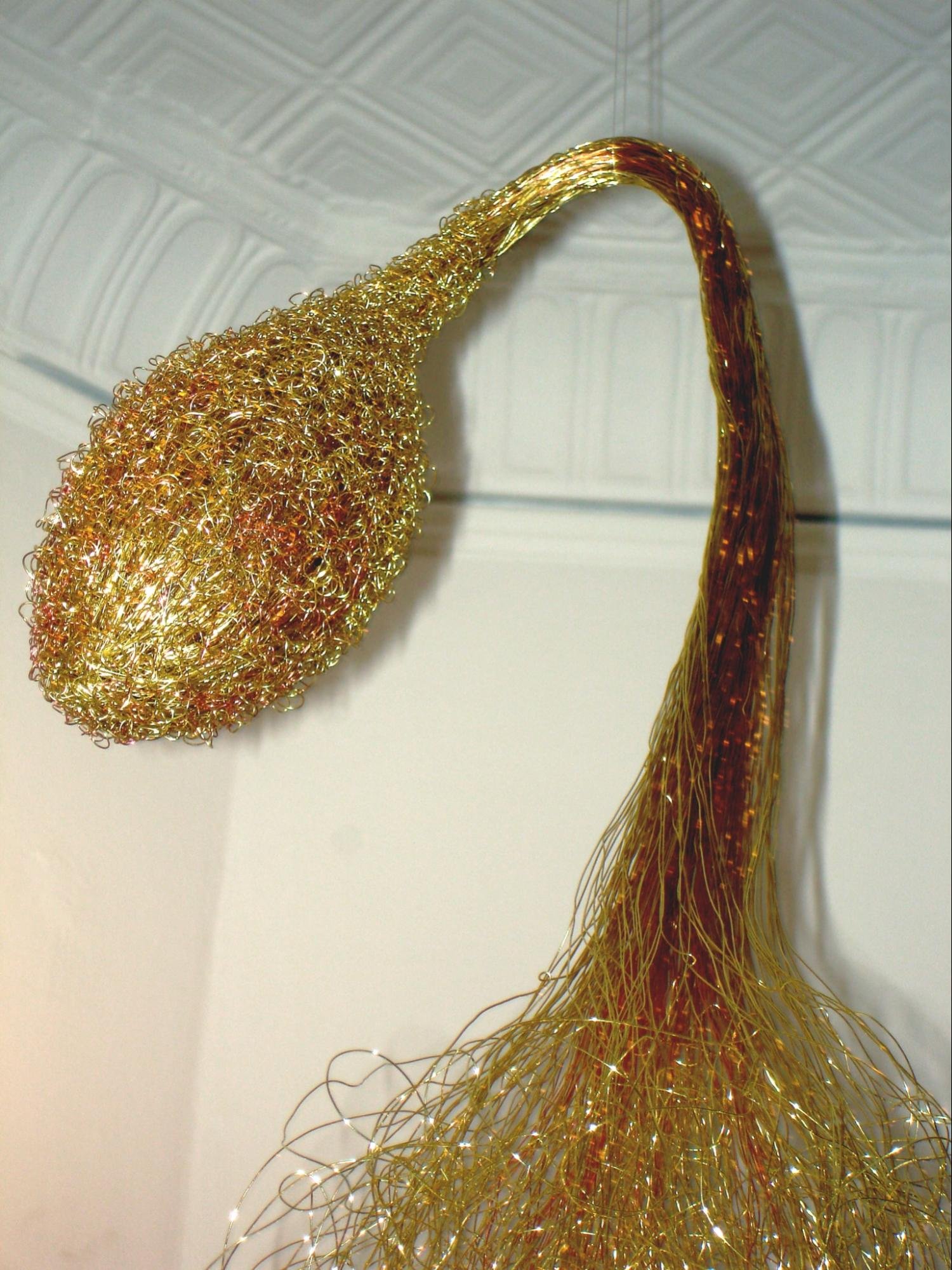 image9.jpg