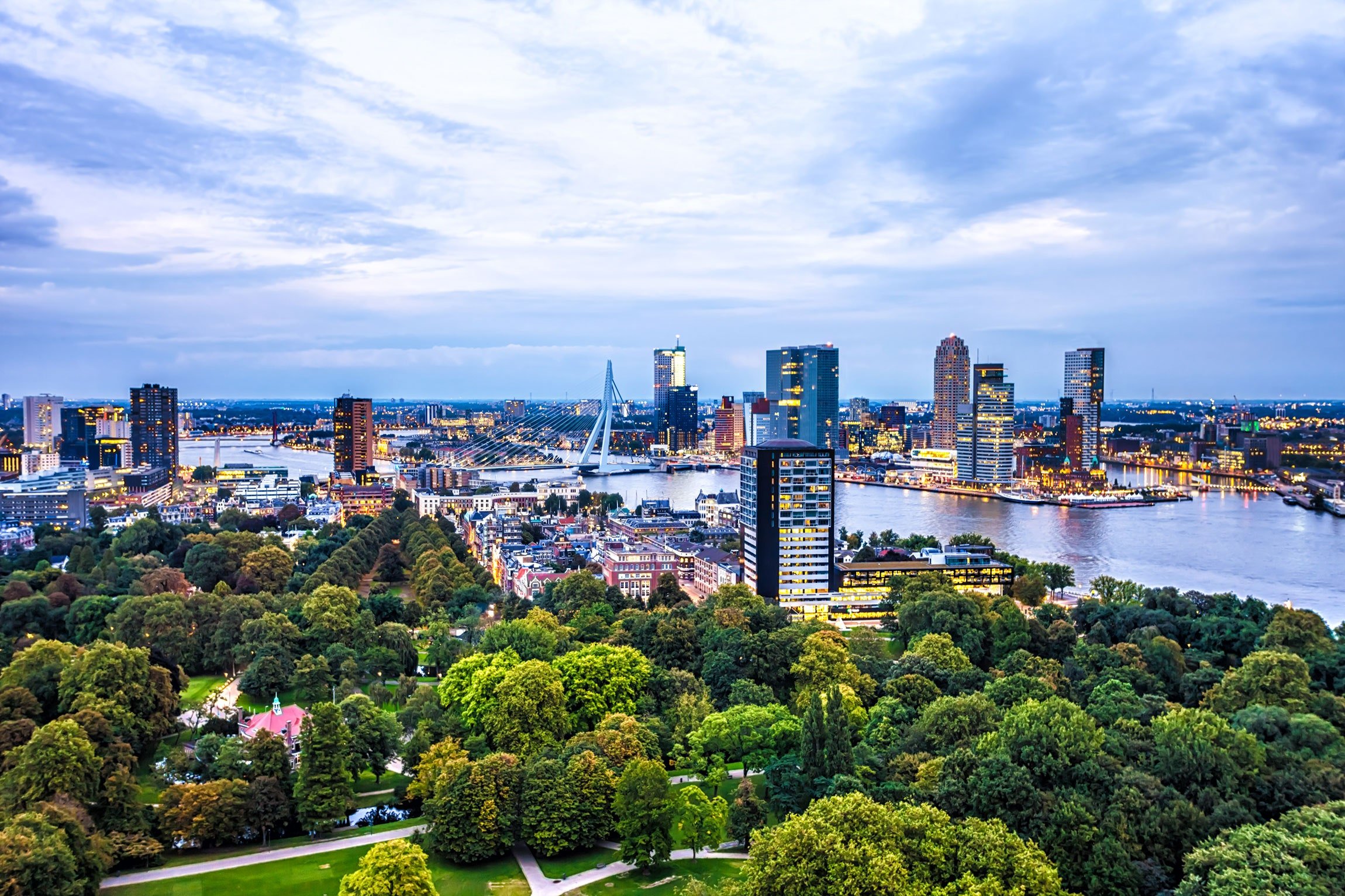 Rotterdam.jpg