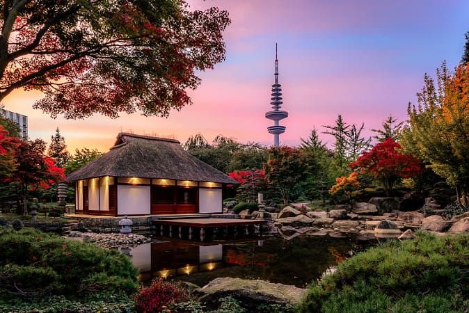 Japanese garden.jpg