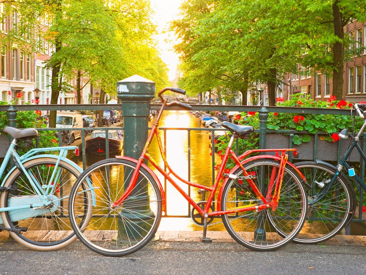 bikes.jpg