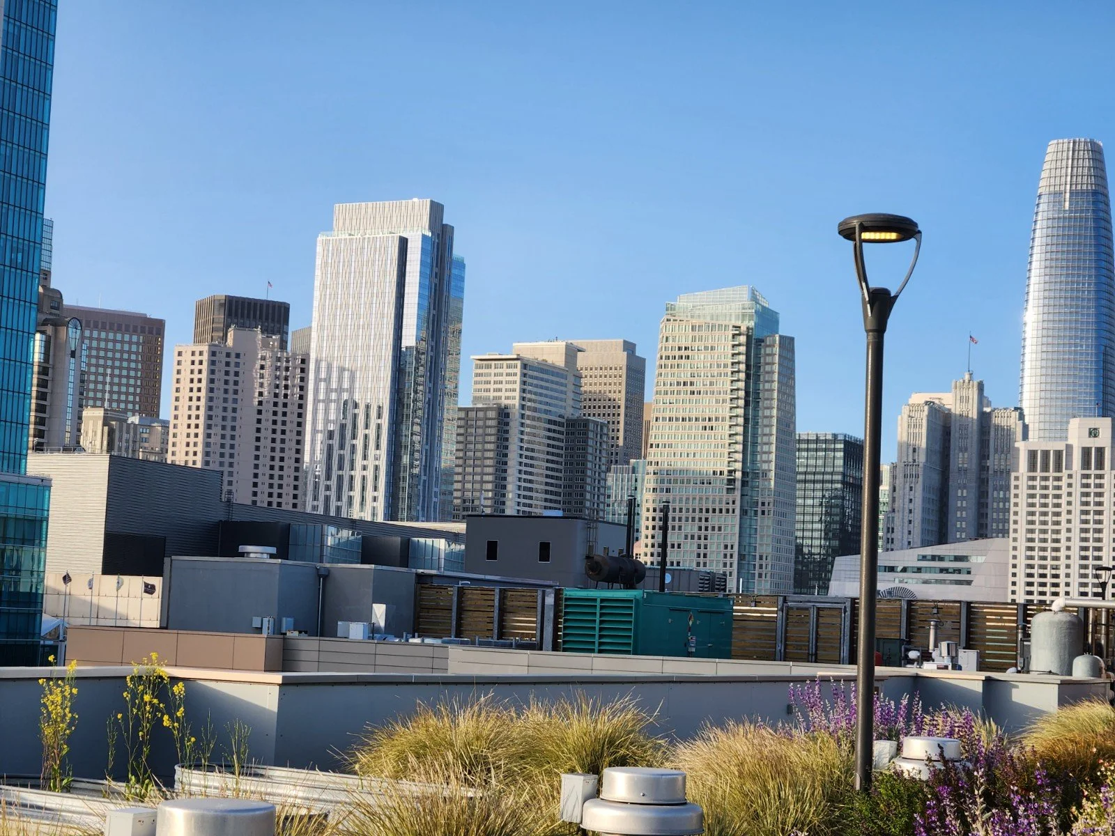 View of San Francisco skyline with tall buildings, a lamppost, and rooftop gardens with plants and flowers.