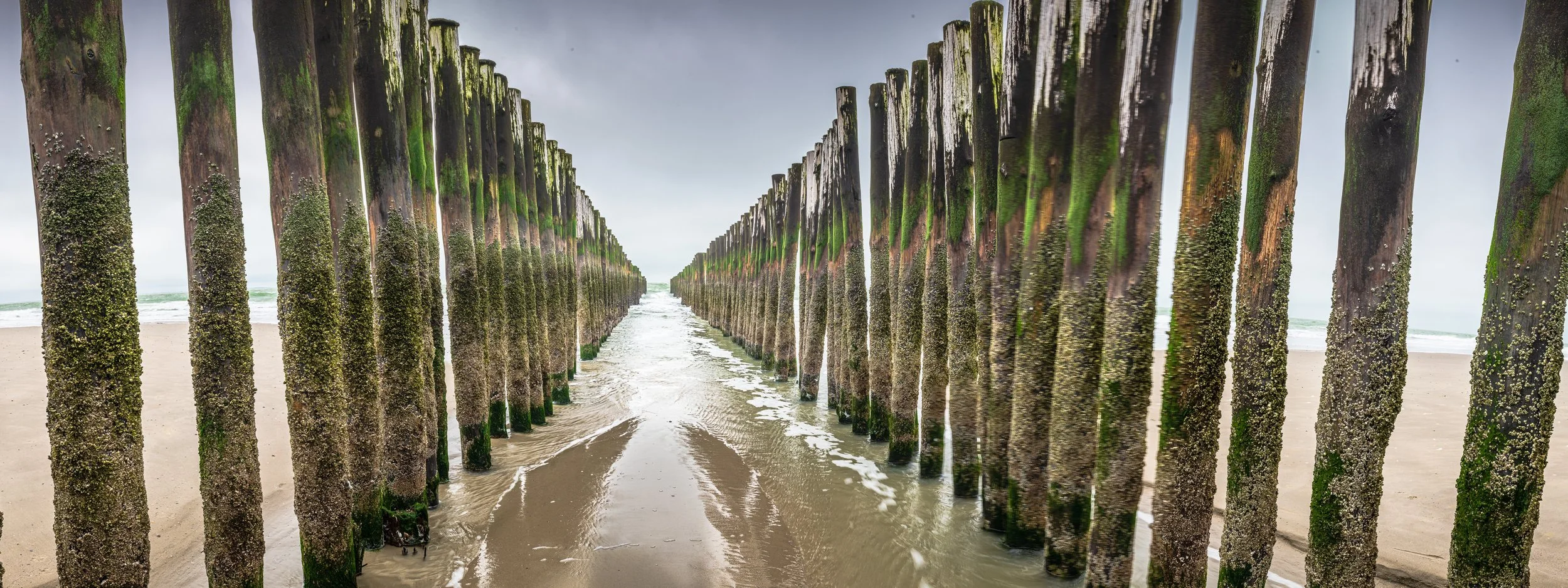 Zeeland Nordsee Niederlande