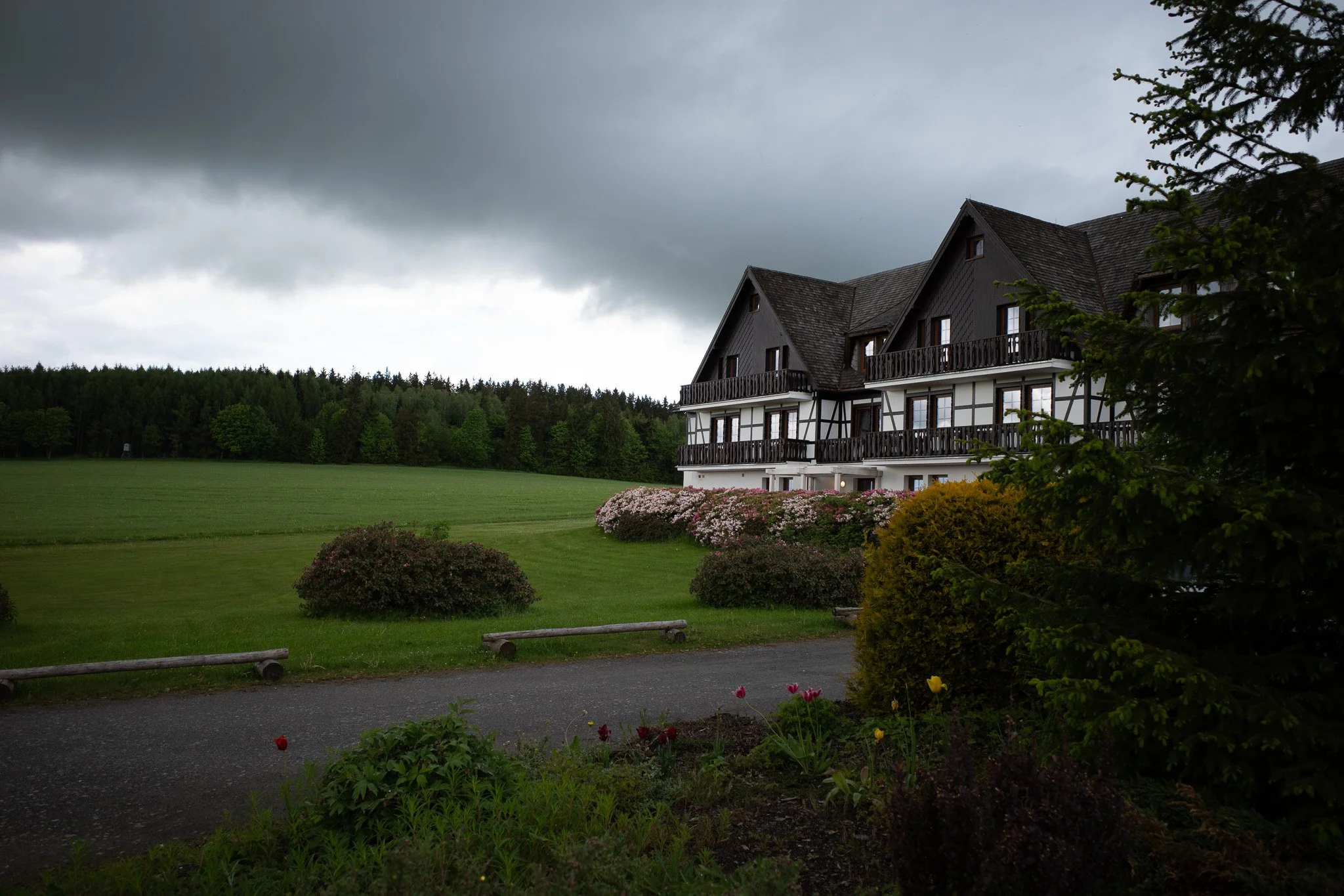 erzgebirge-mit-hund-rausunddavon-waldhotel-kreuztanne-außen-feld.jpg