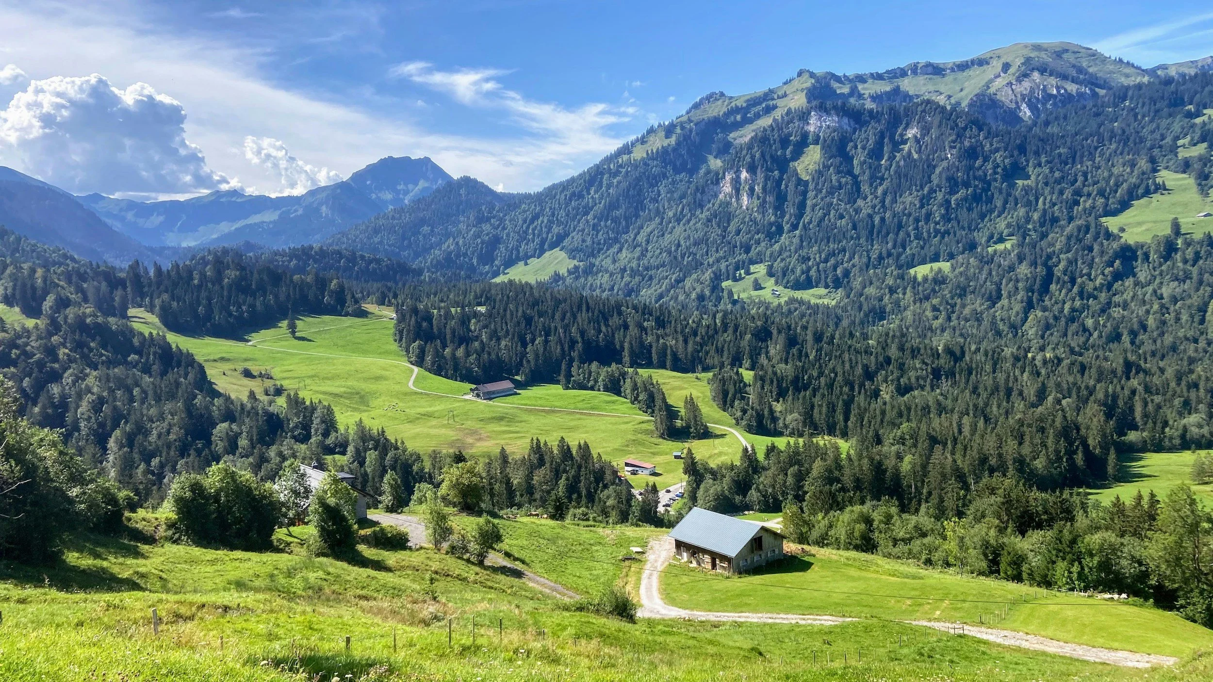Eine sonnige, alpine Landschaft im Allgäu mit saftig grünen Bergwiesen im Vordergrund, durch die sich schmale Pfade ziehen.