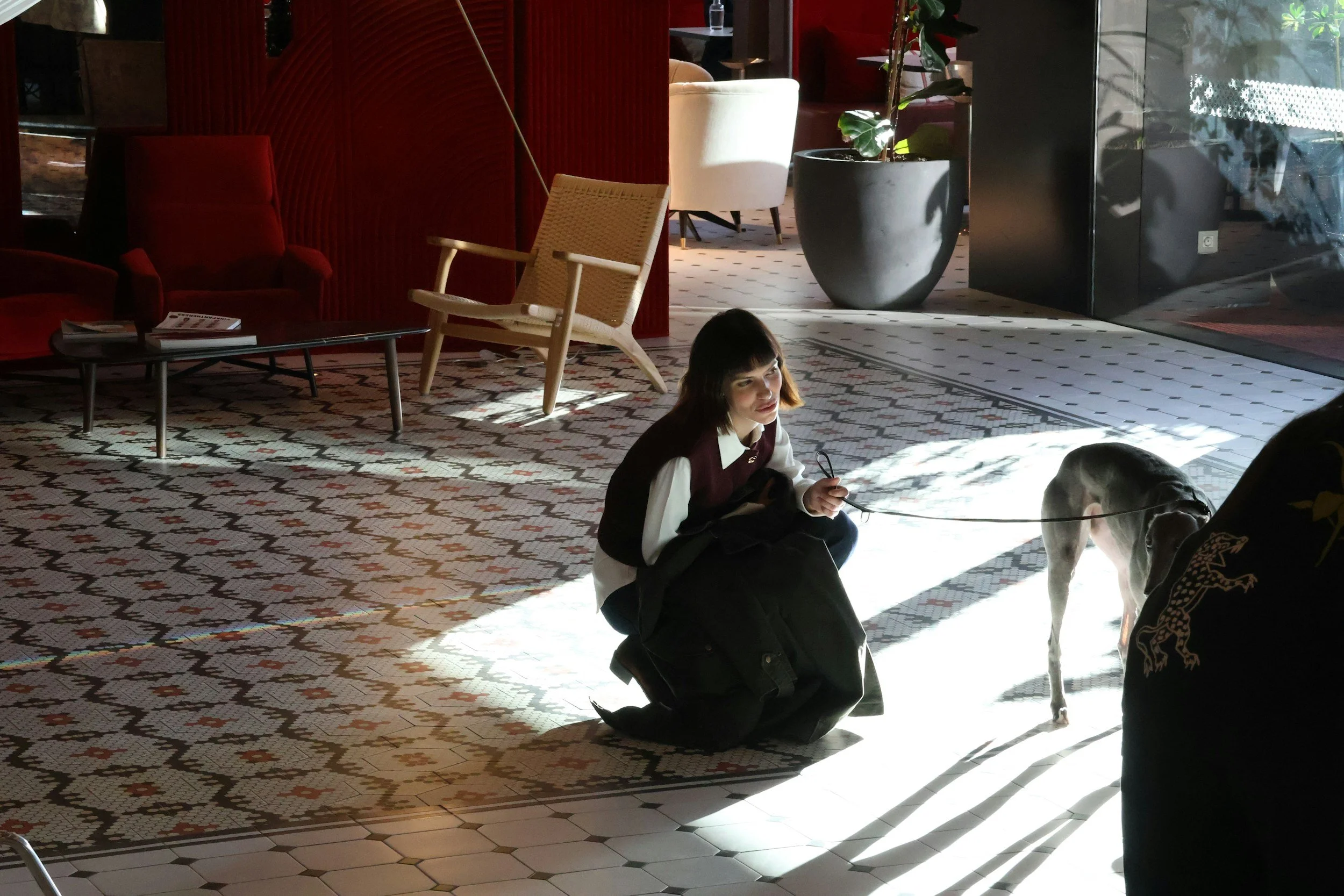 Boutique Hotel mit Hund: Wo Design auf vier Pfoten trifft