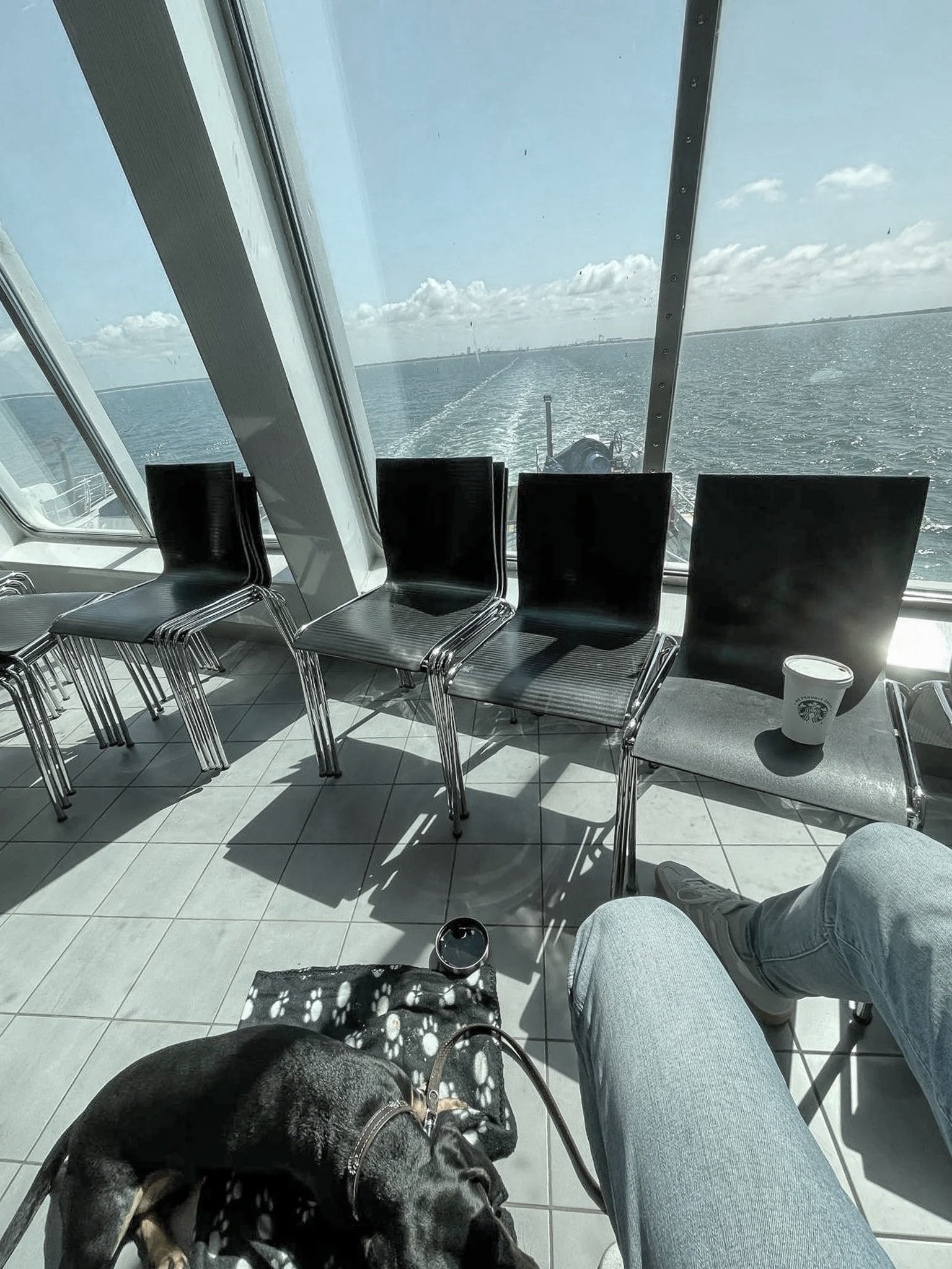 hund-an-bord-deck-scandlines.jpg