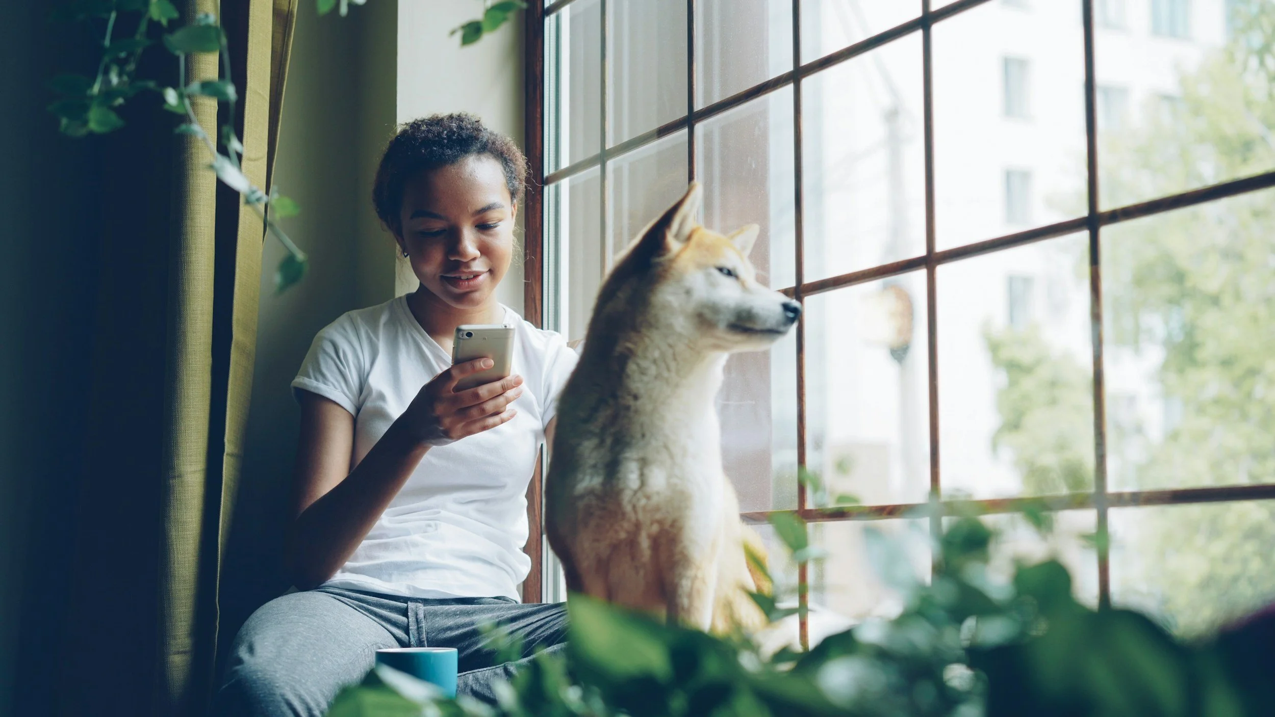 Die besten Apps und Tools für Hunde auf Reisen: Clever unterwegs mit Vierbeiner