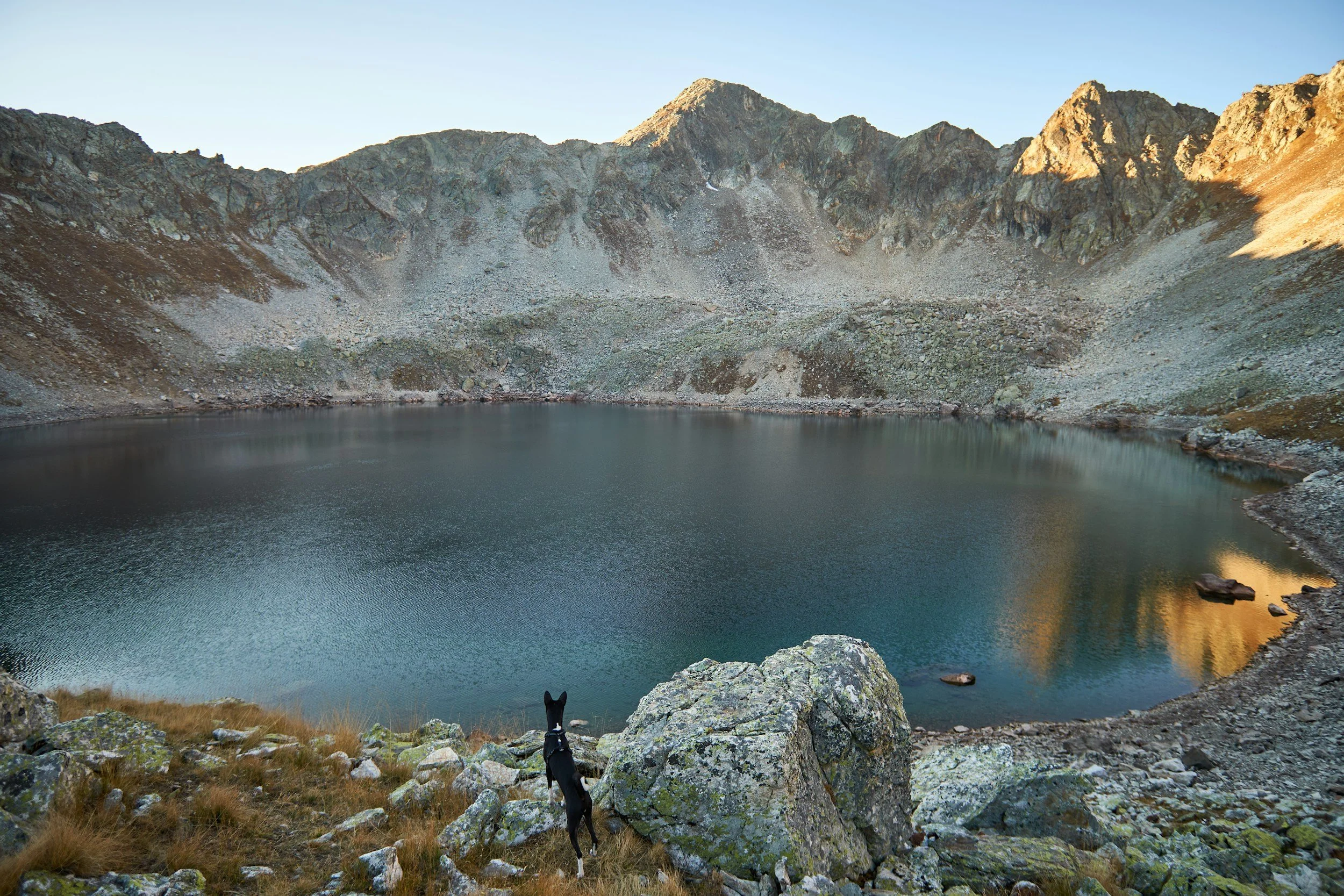Schwarzer Hund blickt von einem felsigen Ufer auf einen dunklen Bergsee.