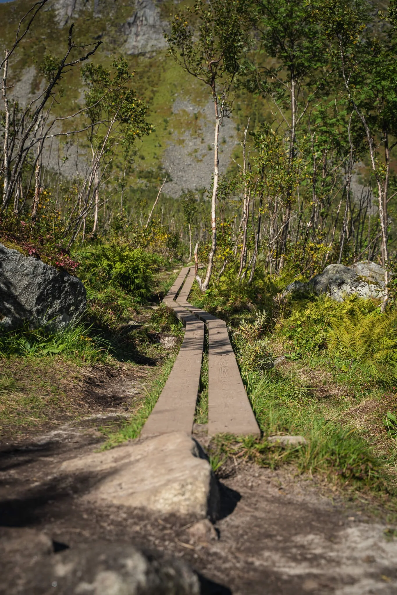 wanderung-auf-den-hesten-senja.jpg