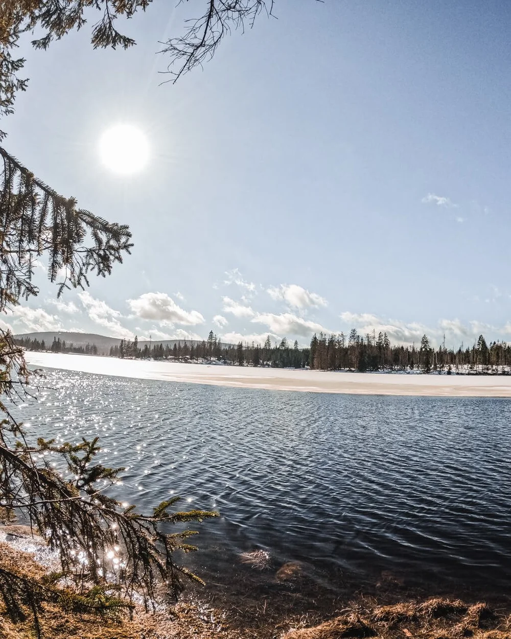 oderteich-winter-raus-und-davon.jpg