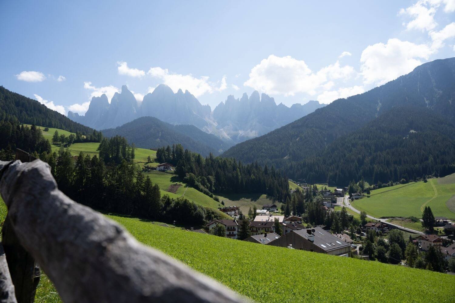 suedtirol-urlaub-mit-hund.jpg
