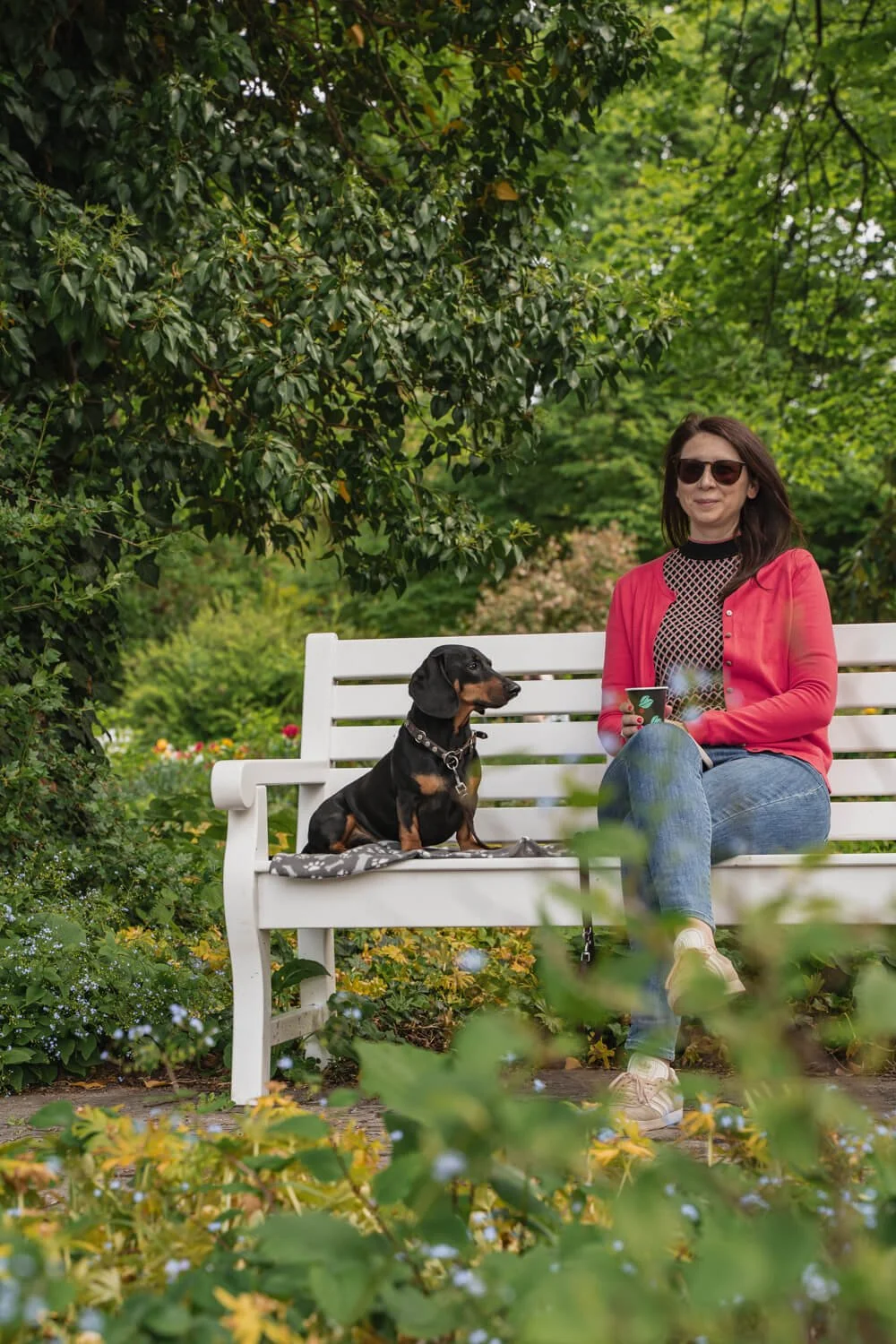 park-auf-der-freundschaftsinsel-mit-hund-in-potsdam.jpg