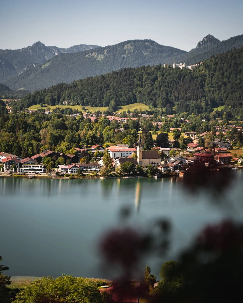 Hotel Mit Hund Tegernsee
