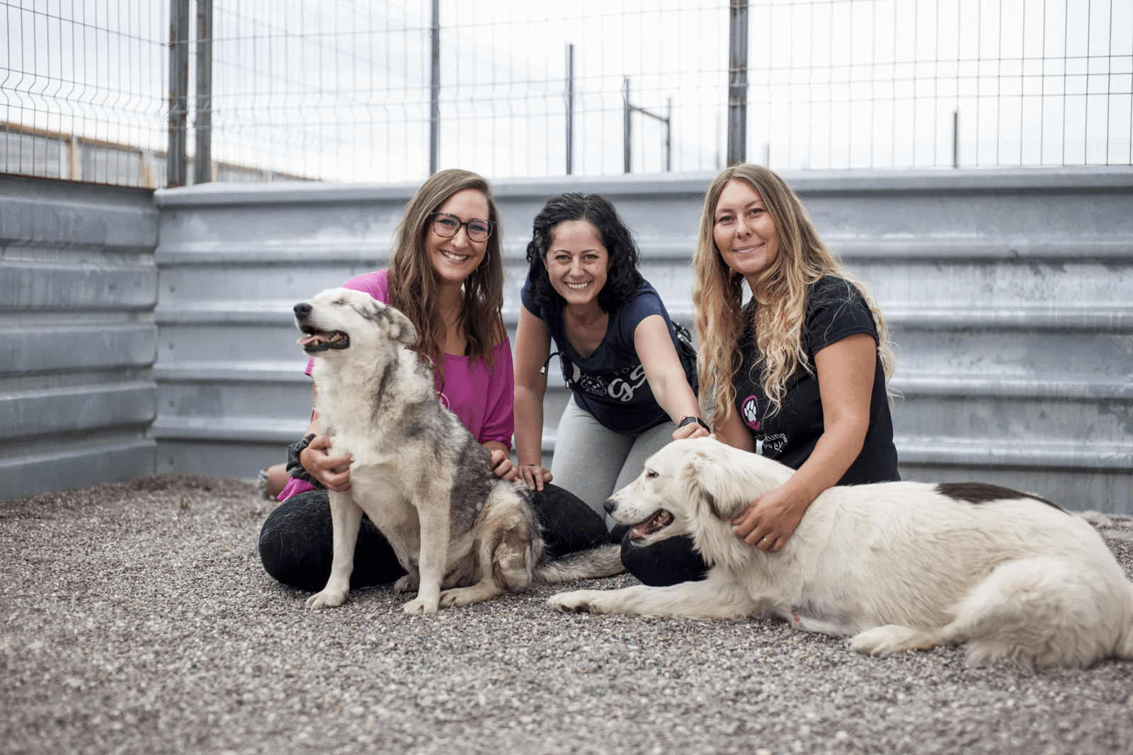 Bild zeigt Hunde mit dem Team des Hunderettung Europa e.V.